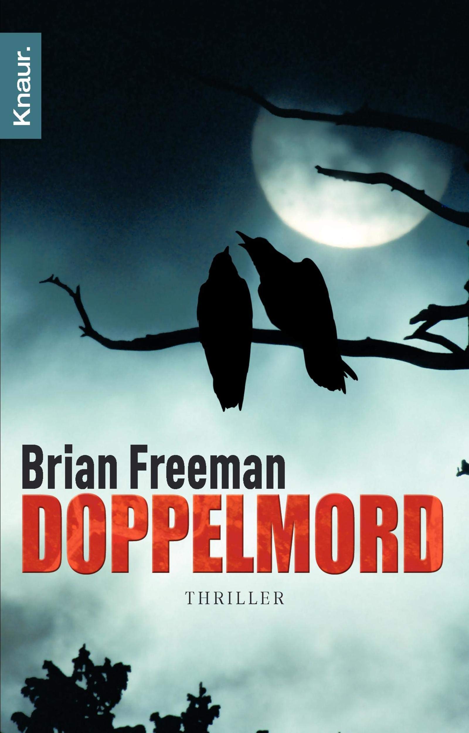 Doppelmord: Thriller Contemporary literature Books