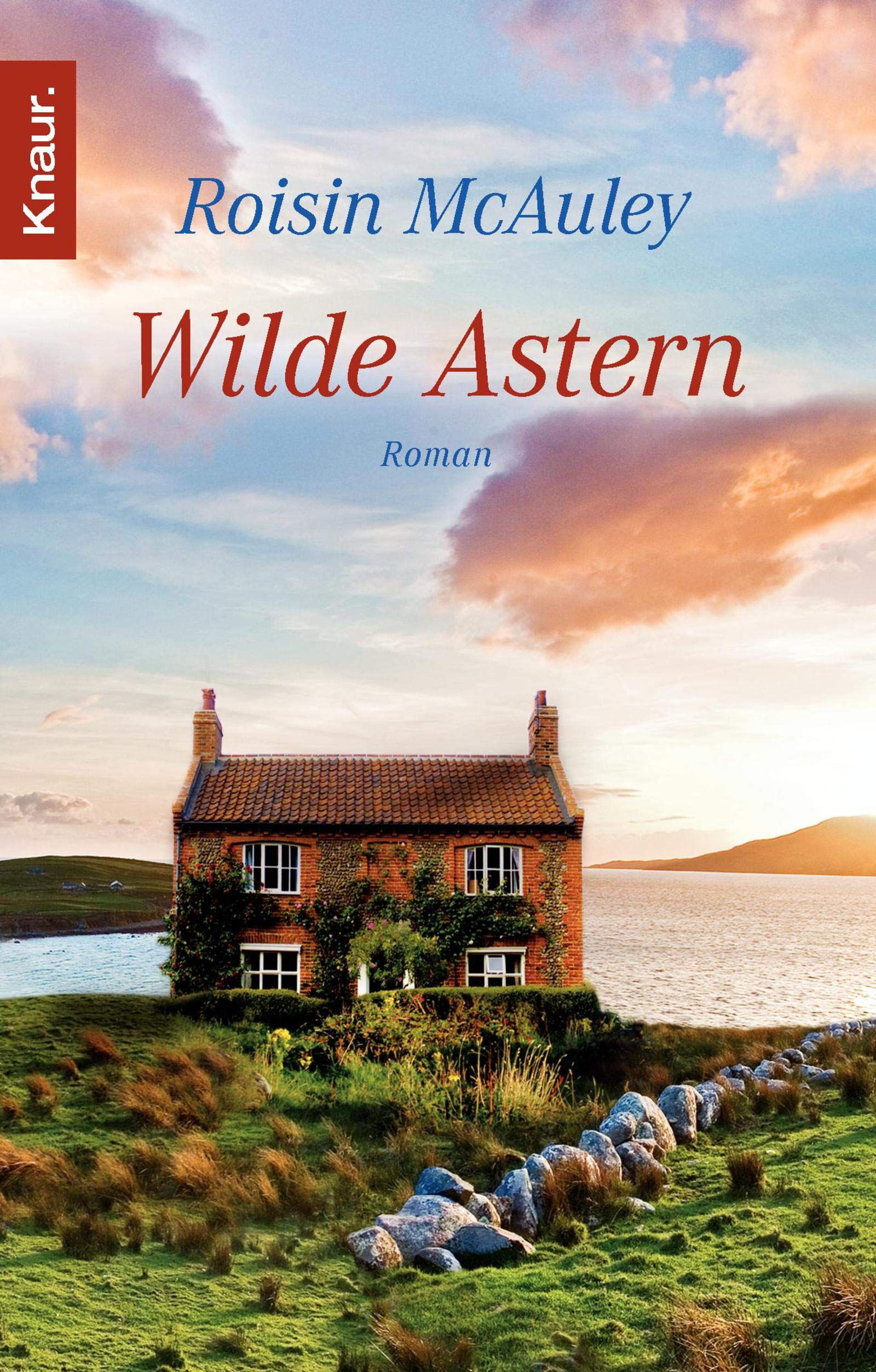 Product Image: Wilde Astern: Roman