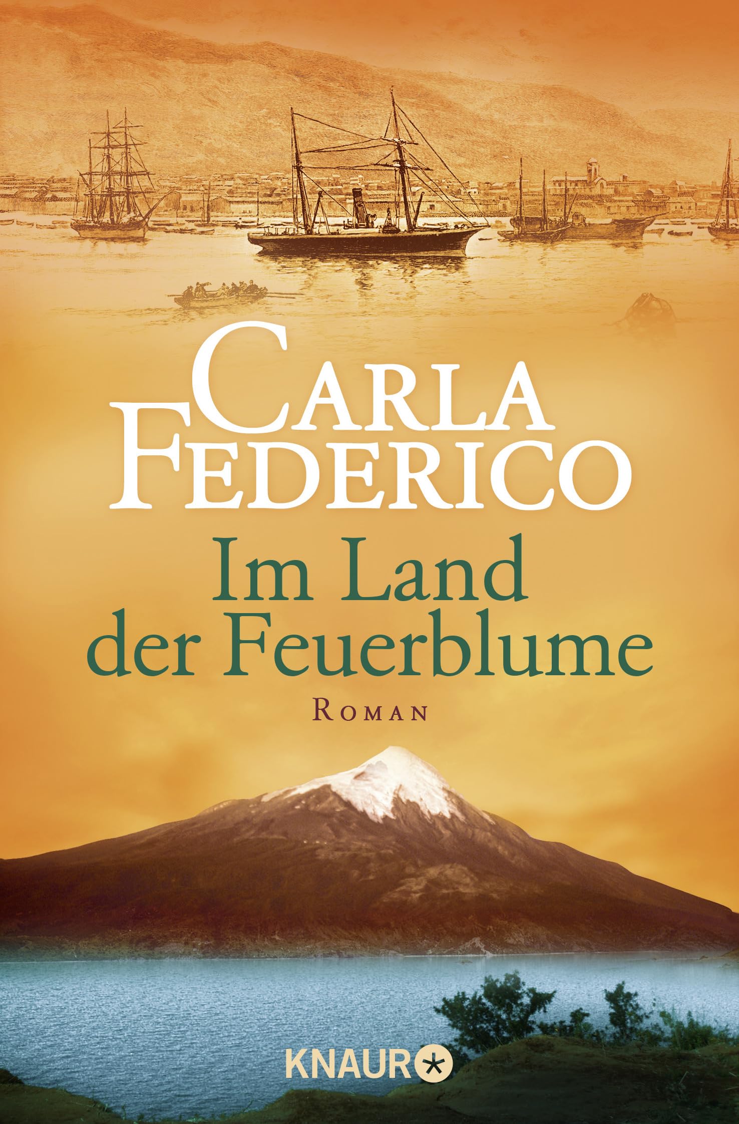 Chile 01. Im Land der Feuerblume Contemporary literature