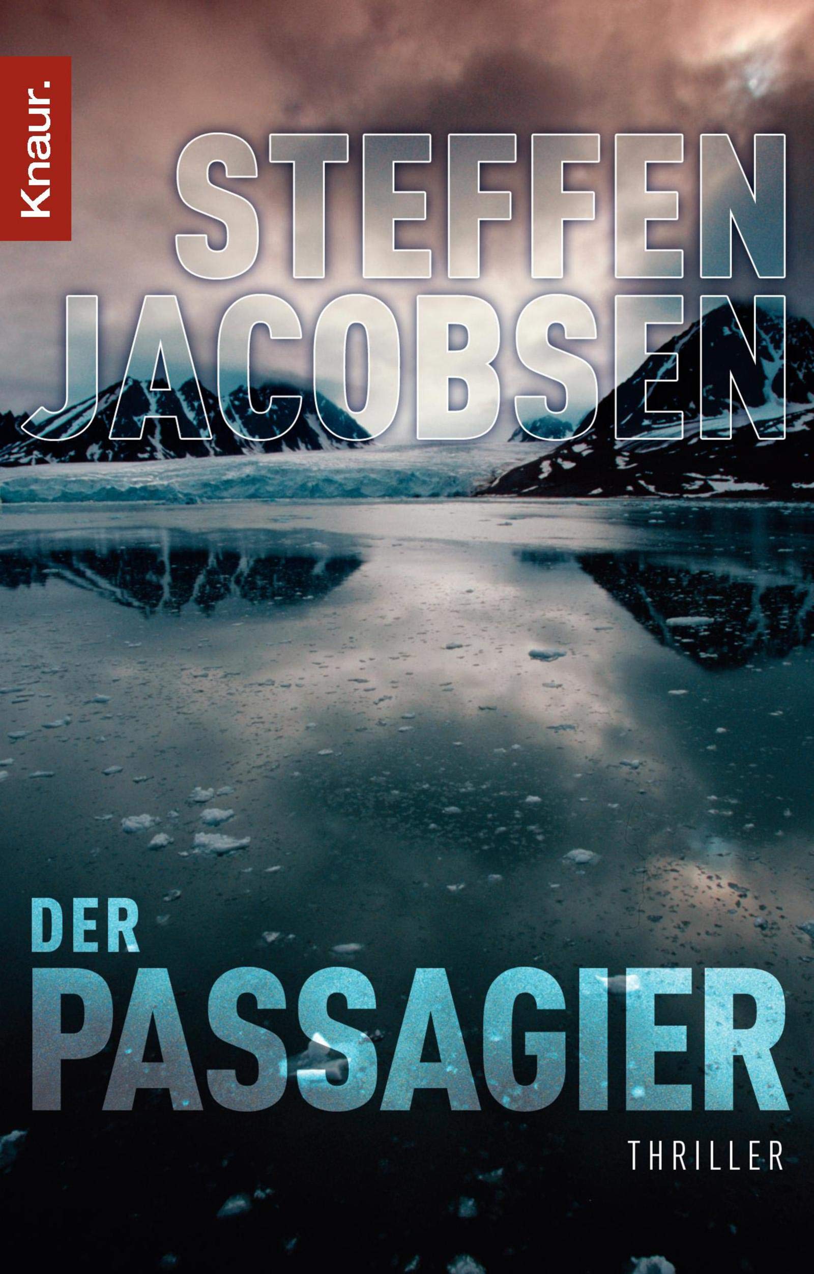 Der Passagier: Thriller Contemporary literature Books