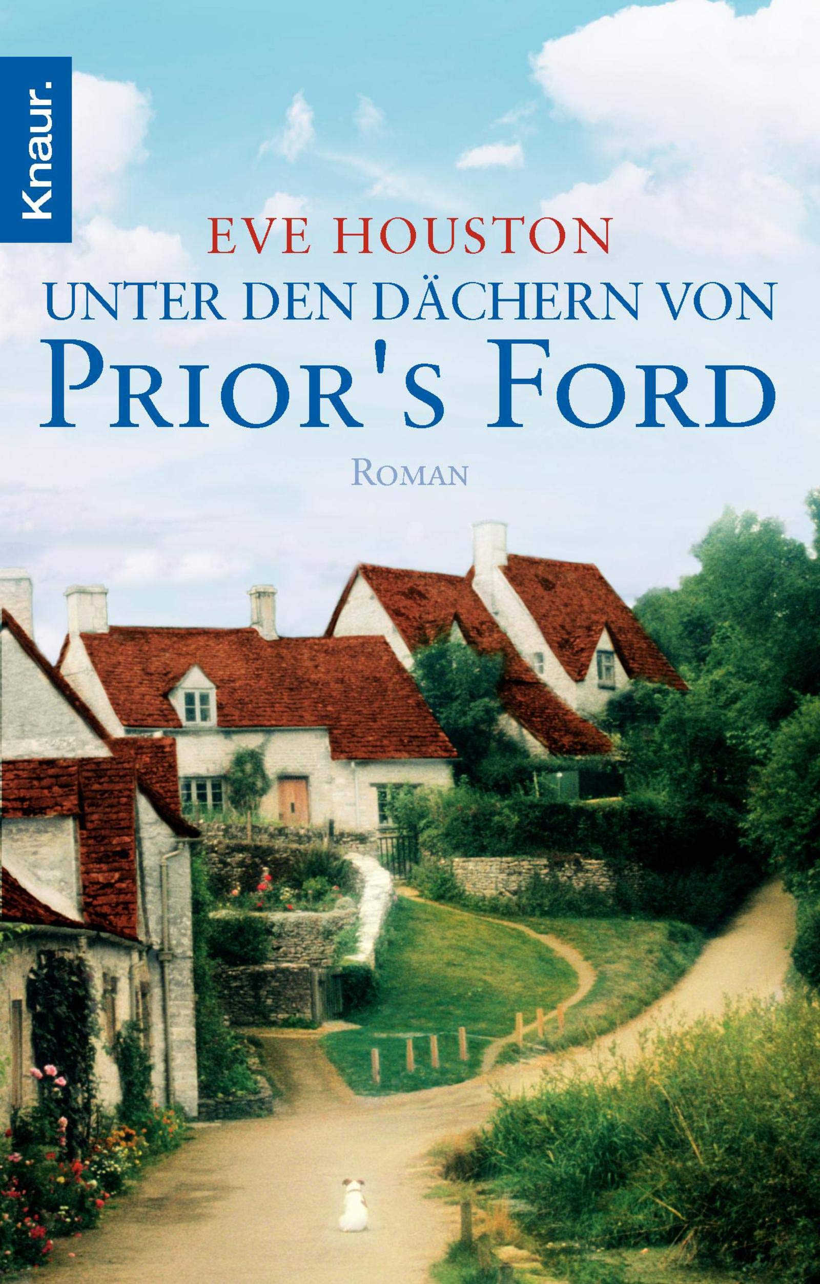Unter den Dächern von Prior's Ford: Roman Contemporary literature