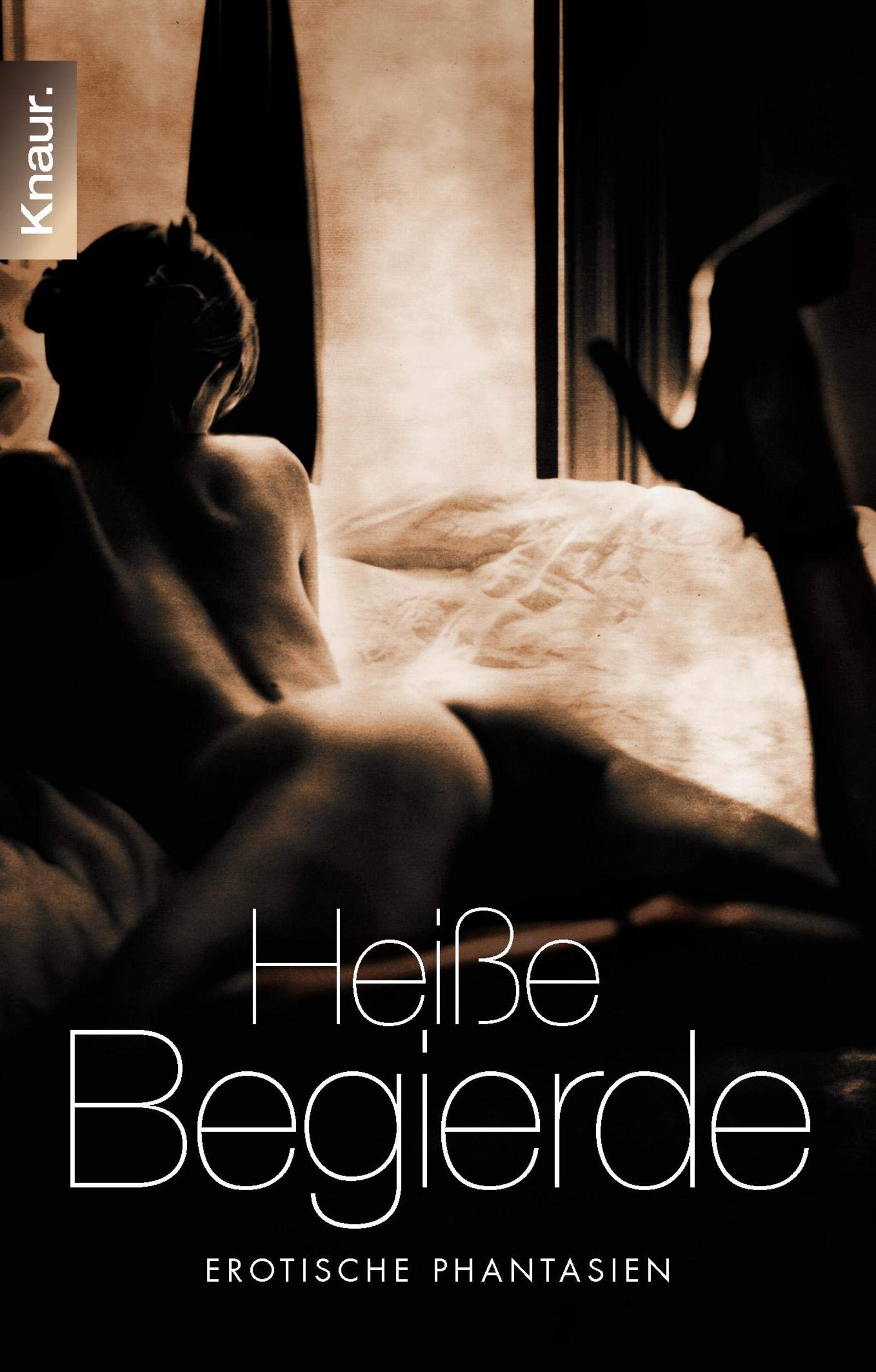 Heiße Begierde: Erotische Phantasien Contemporary literature
