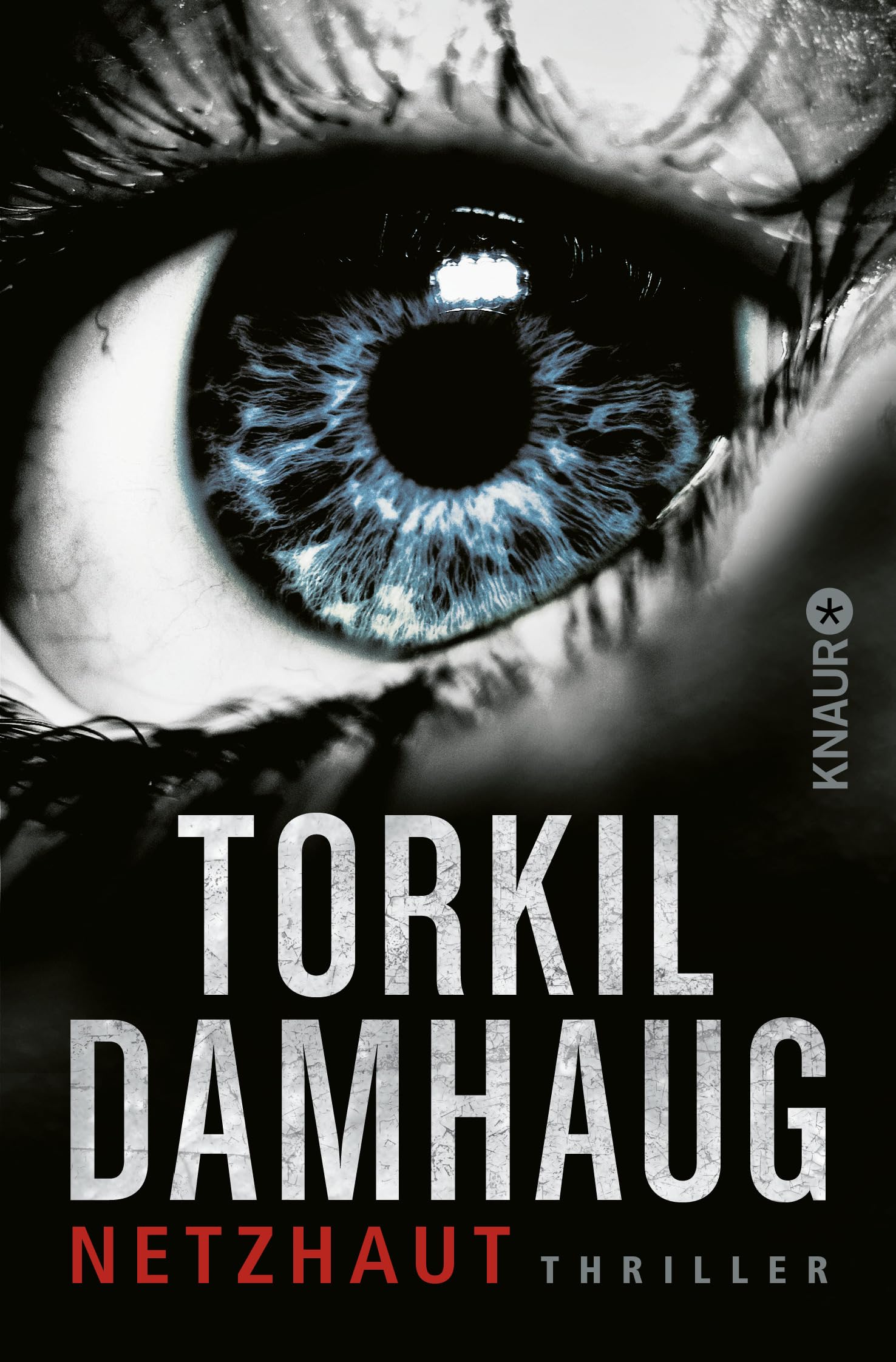 Netzhaut Contemporary literature Books