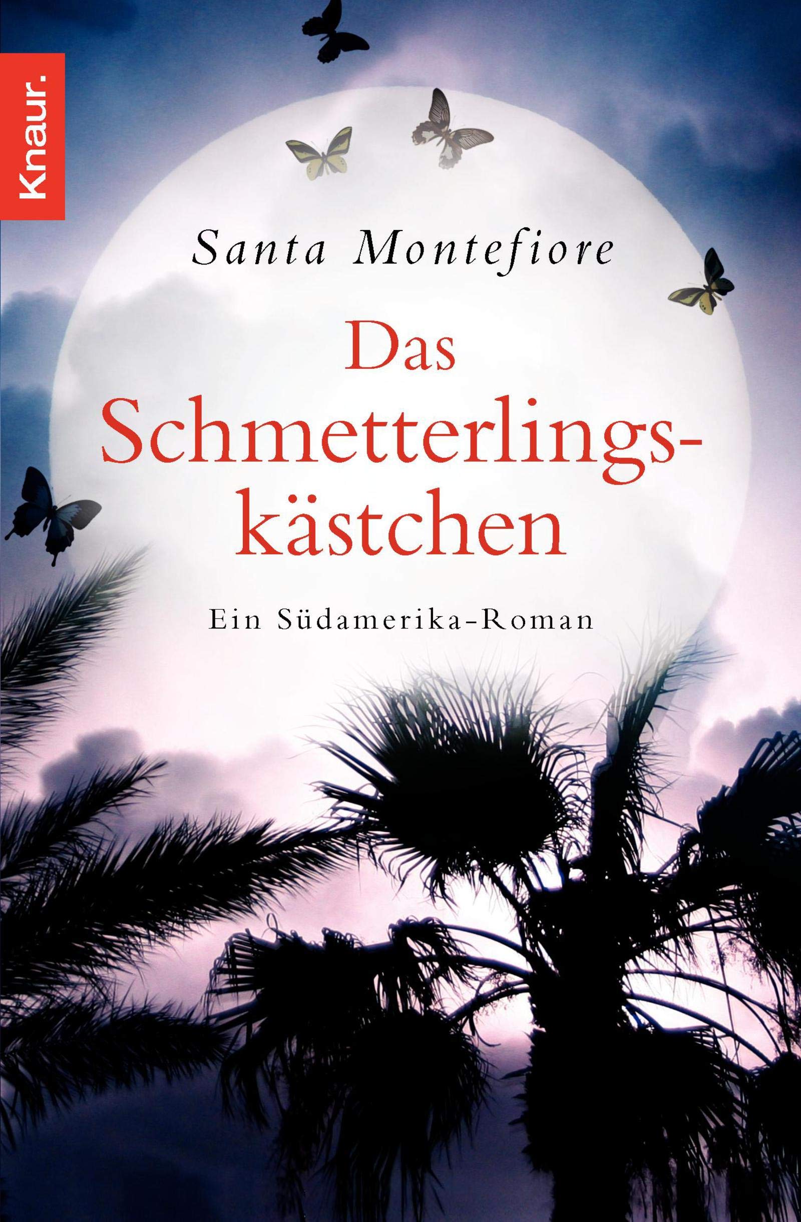 Das Schmetterlingskästchen: Ein Südamerika-Roman Contemporary literature