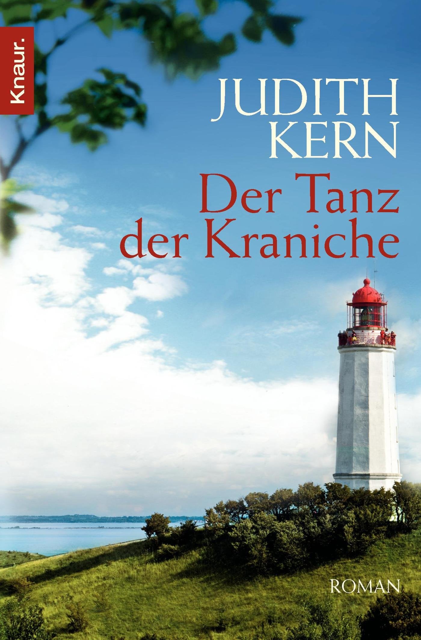 Der Tanz der Kraniche Contemporary literature Books