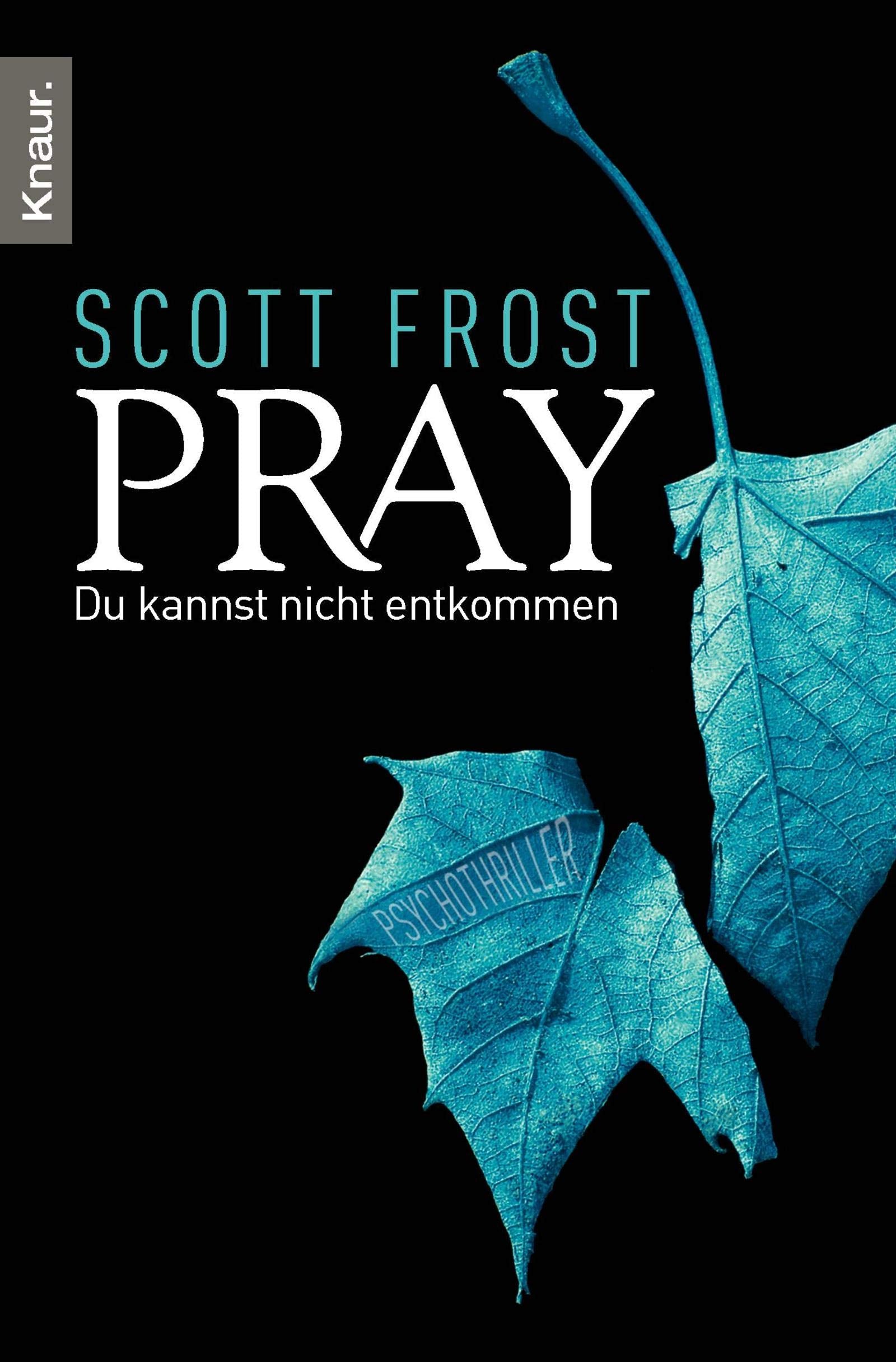 Pray - Du kannst nicht entkommen: Psychothriller Contemporary literature