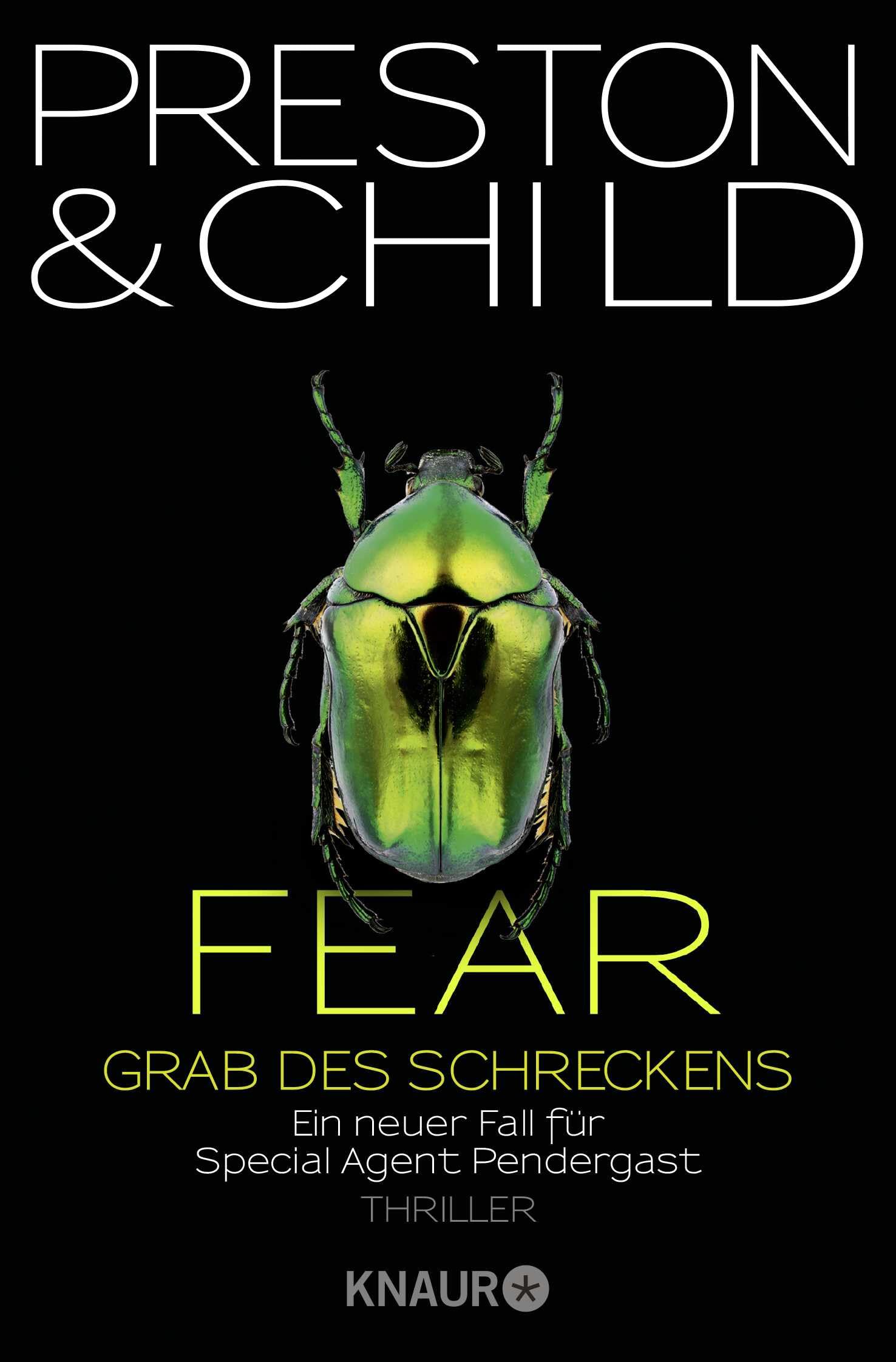 Fear - Grab des Schreckens Contemporary literature