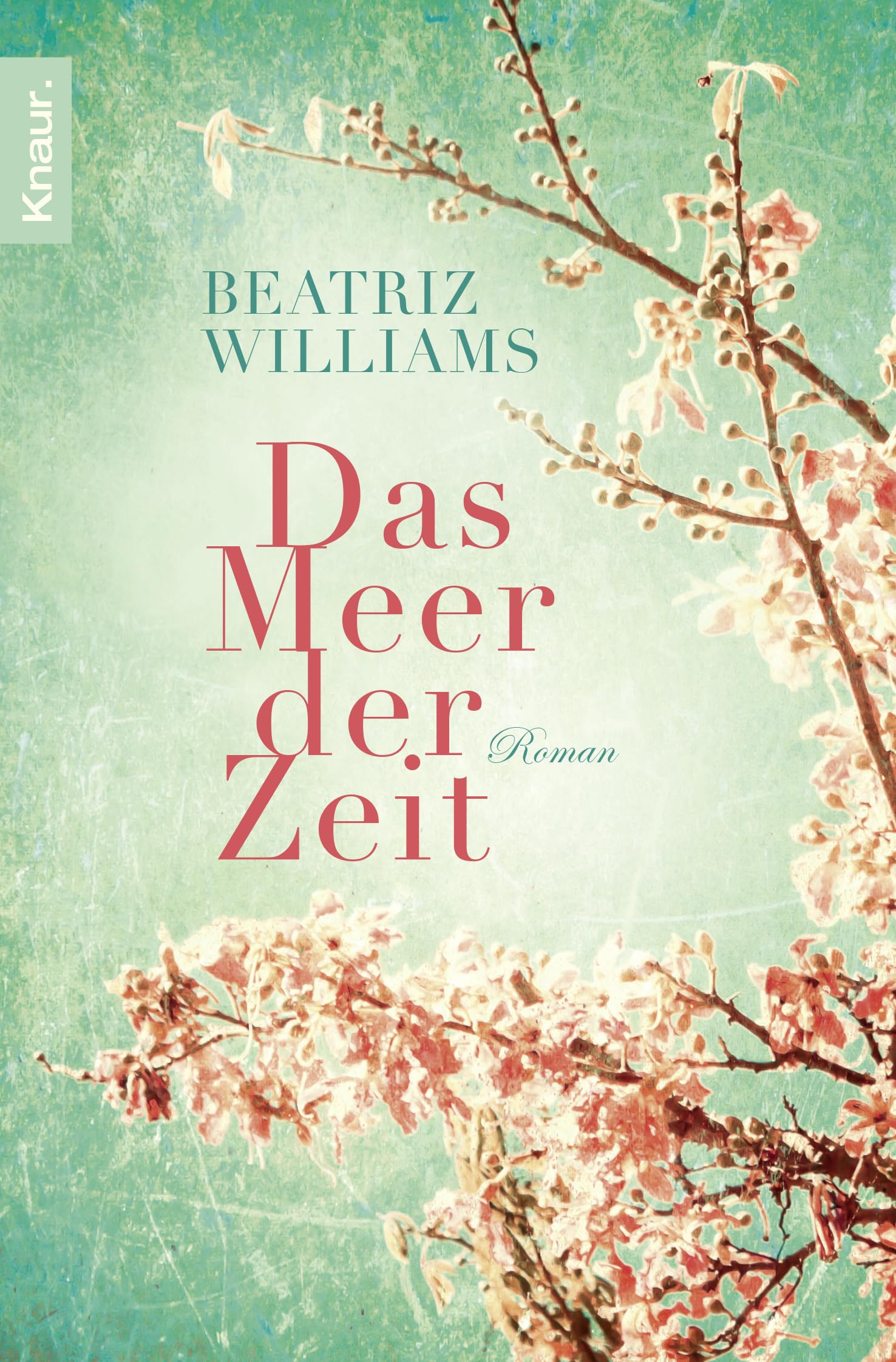 Das Meer der Zeit Contemporary literature Books