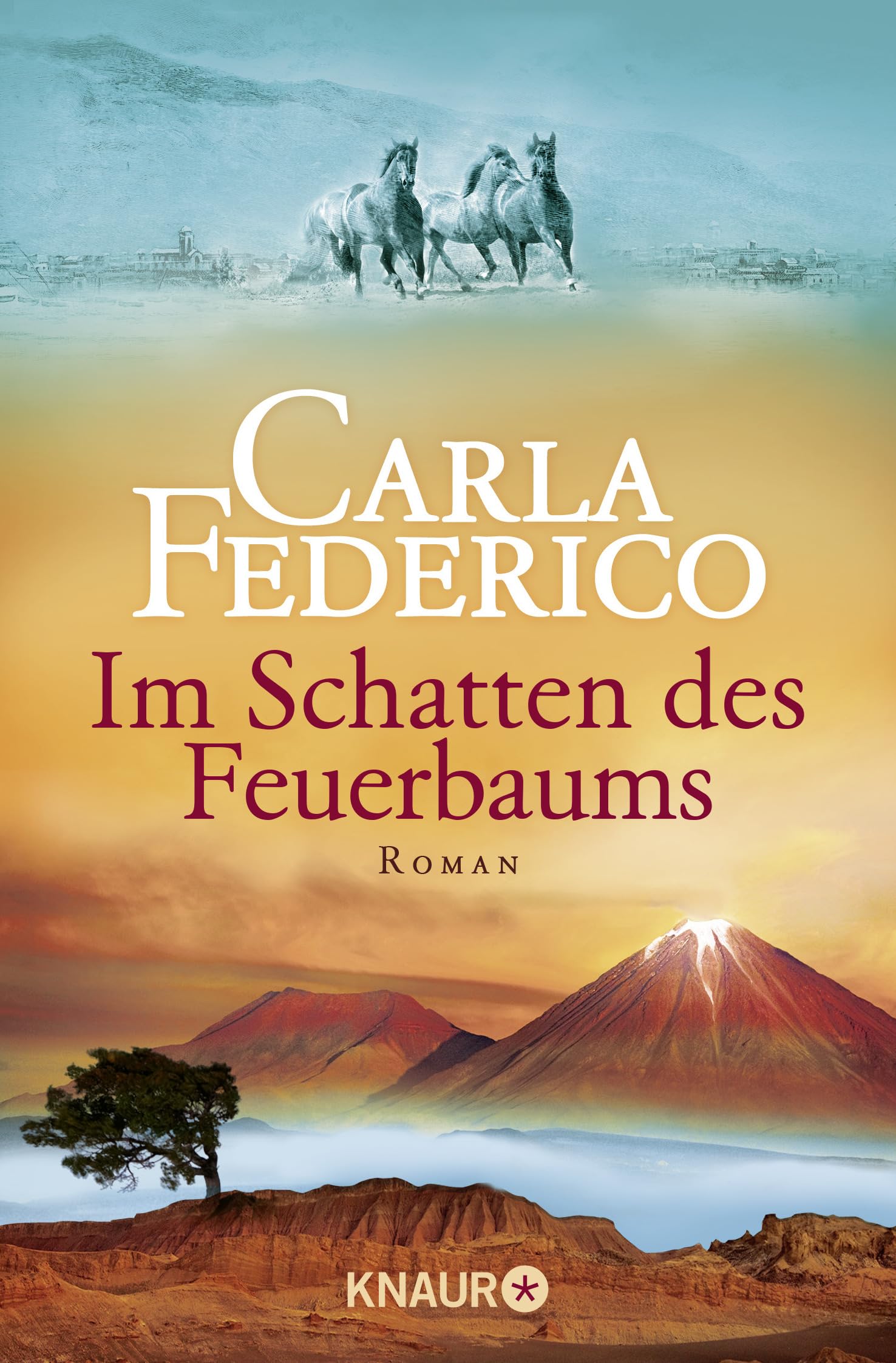Chile 03. Im Schatten des Feuerbaums Contemporary literature