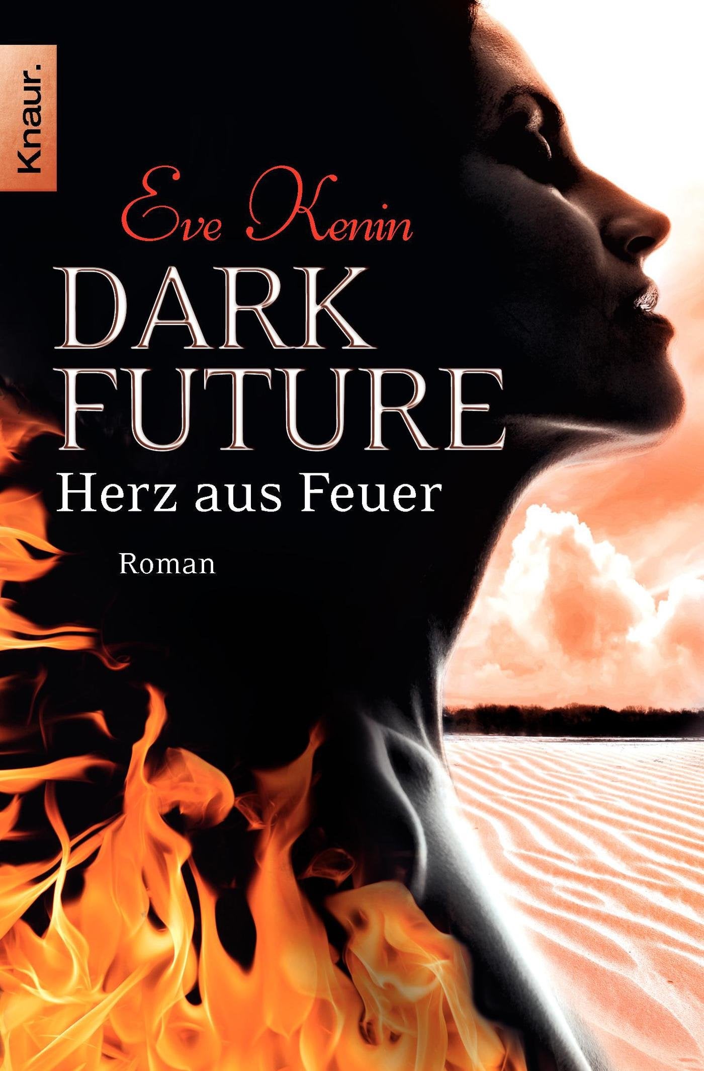 Dark Future 02: Herz aus Feuer Contemporary literature