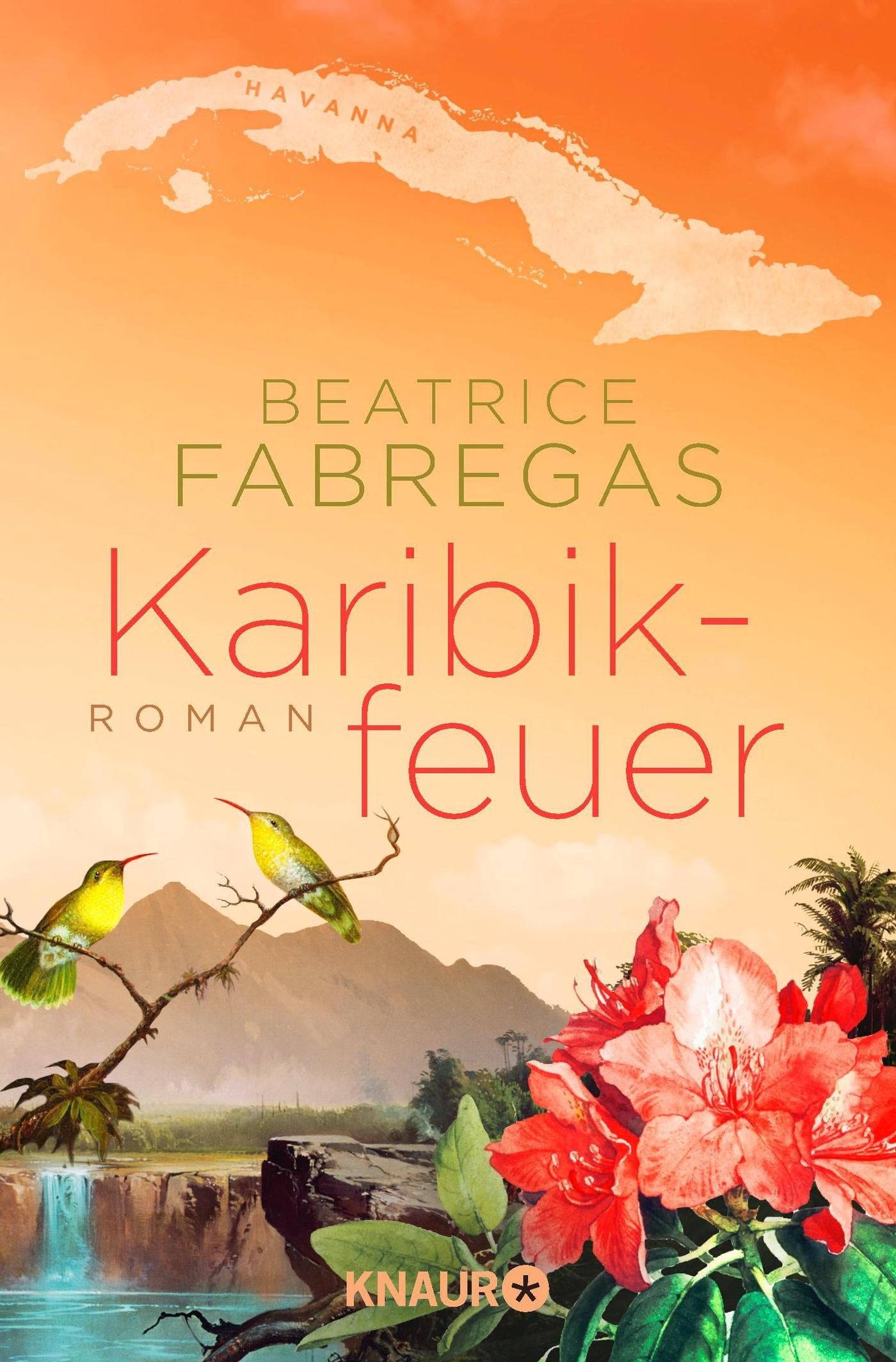 Karibikfeuer Contemporary literature Books