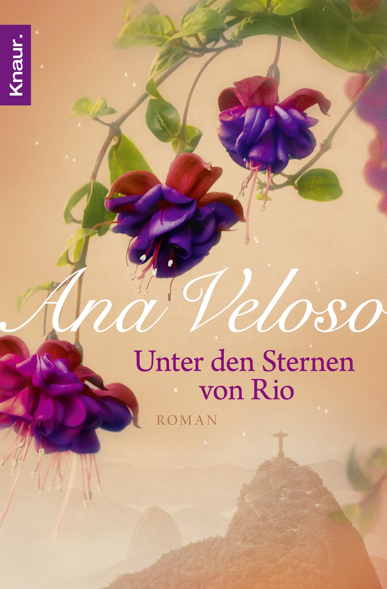 Unter den Sternen von Rio Contemporary literature