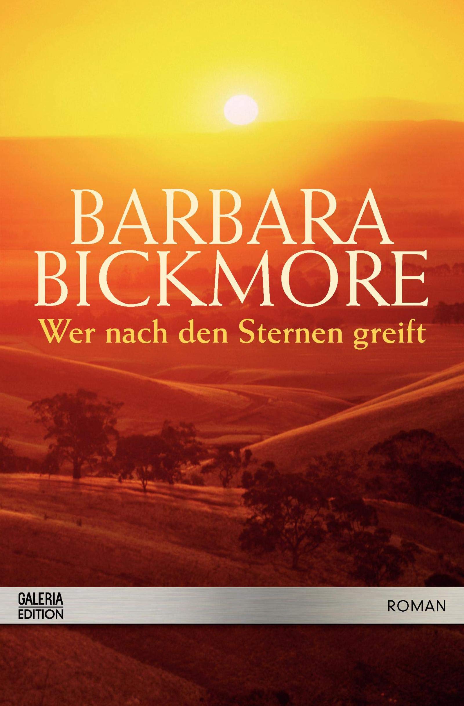 Wer nach den Sternen greift : Roman. Contemporary literature
