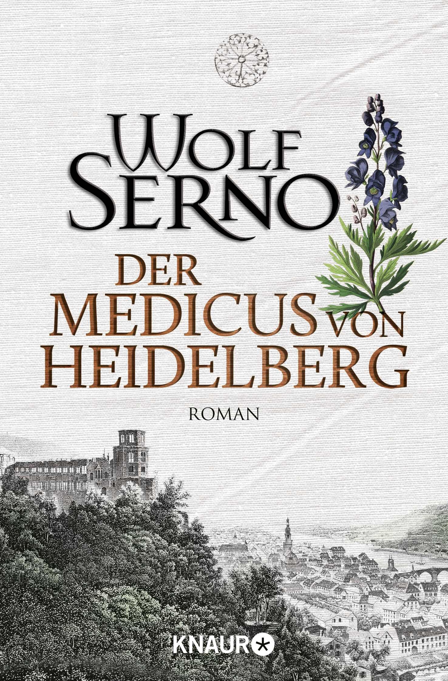 Der Medicus von Heidelberg Contemporary literature Books