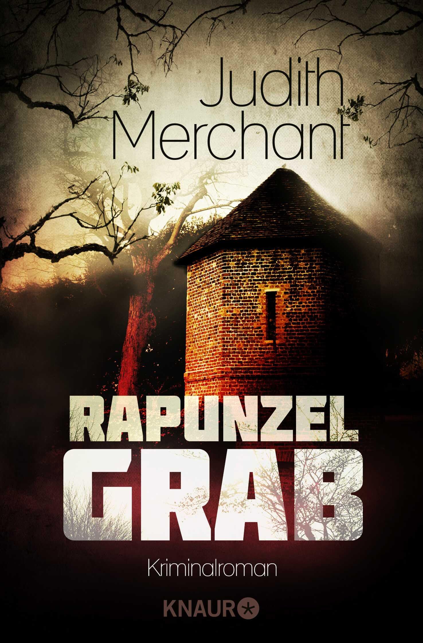 Rapunzelgrab Contemporary literature Books