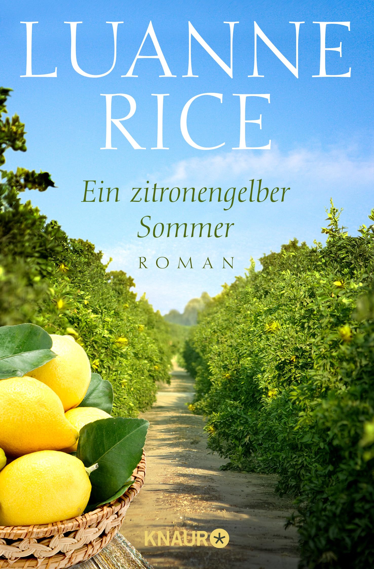 Ein zitronengelber Sommer Contemporary literature Books
