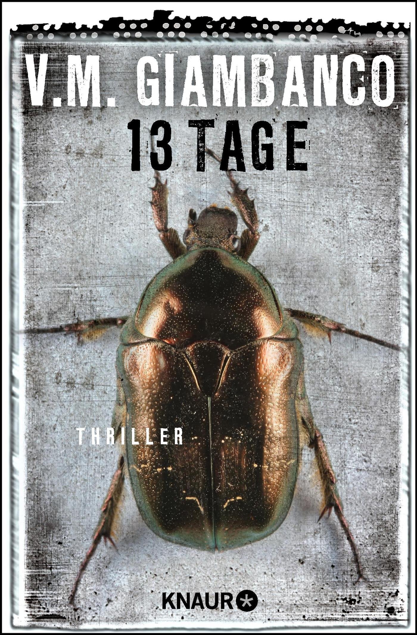 Product Image: 13 Tage