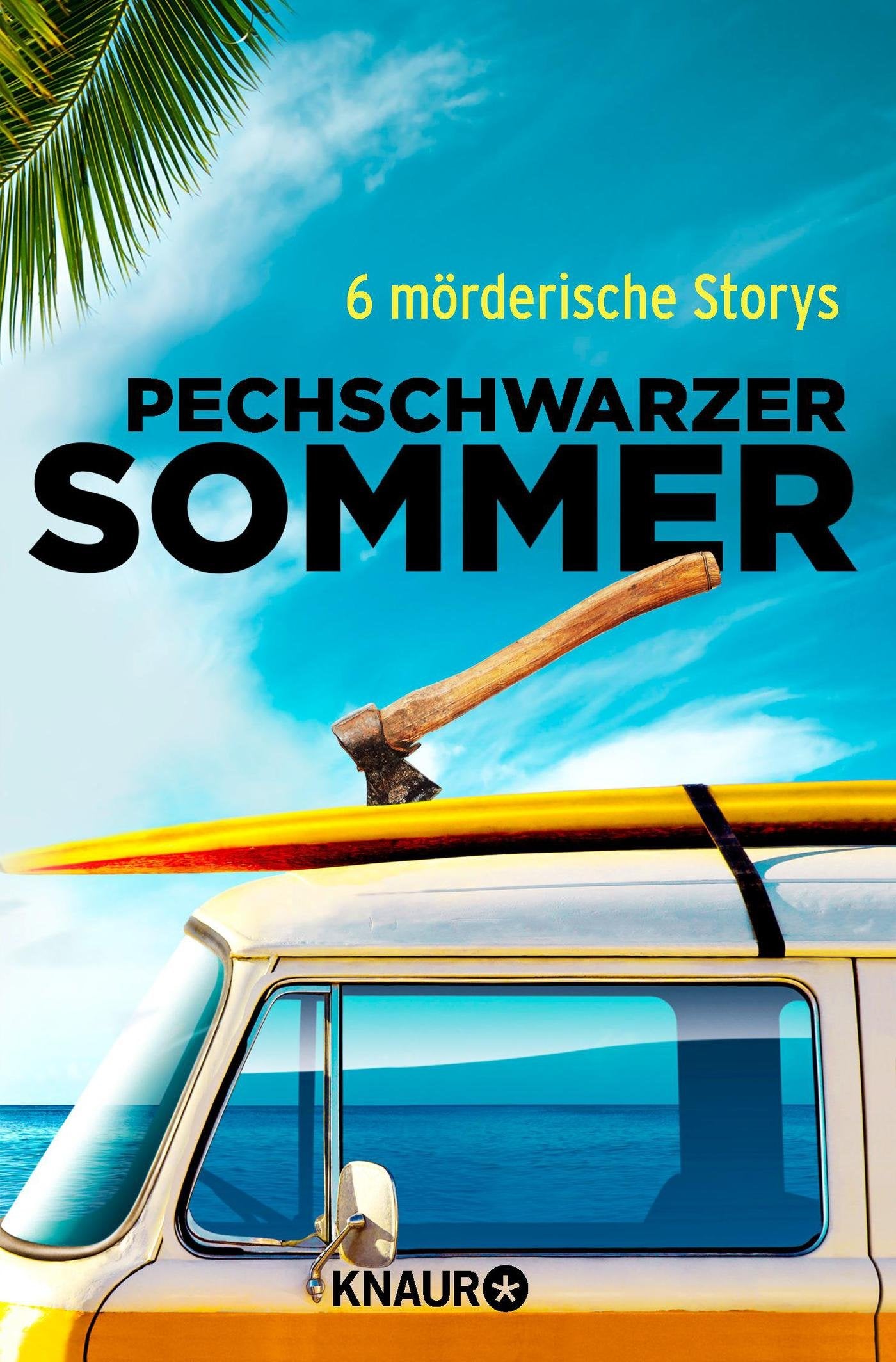 Pechschwarzer Sommer Contemporary literature Books