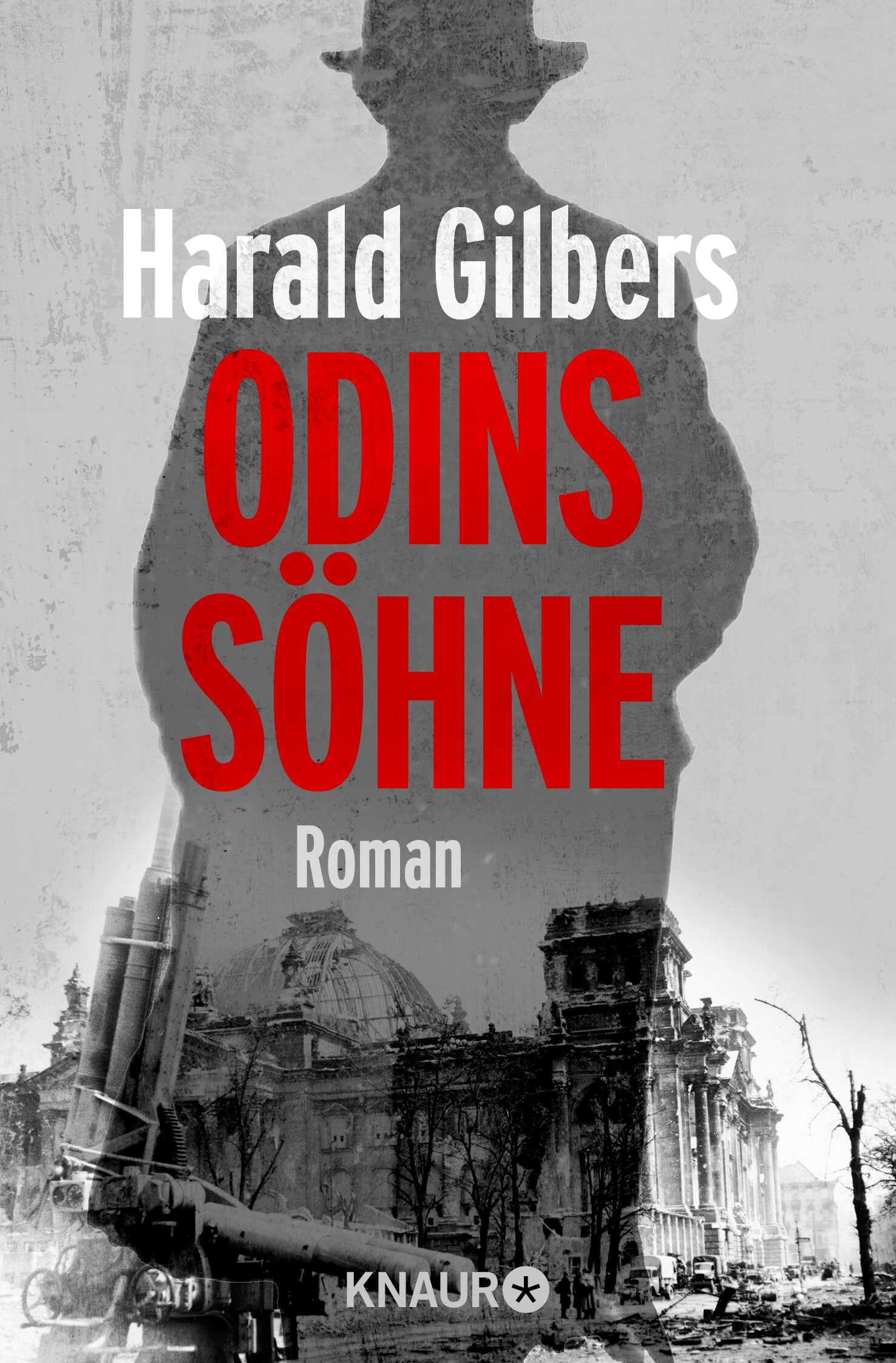Odins Söhne Contemporary literature Books