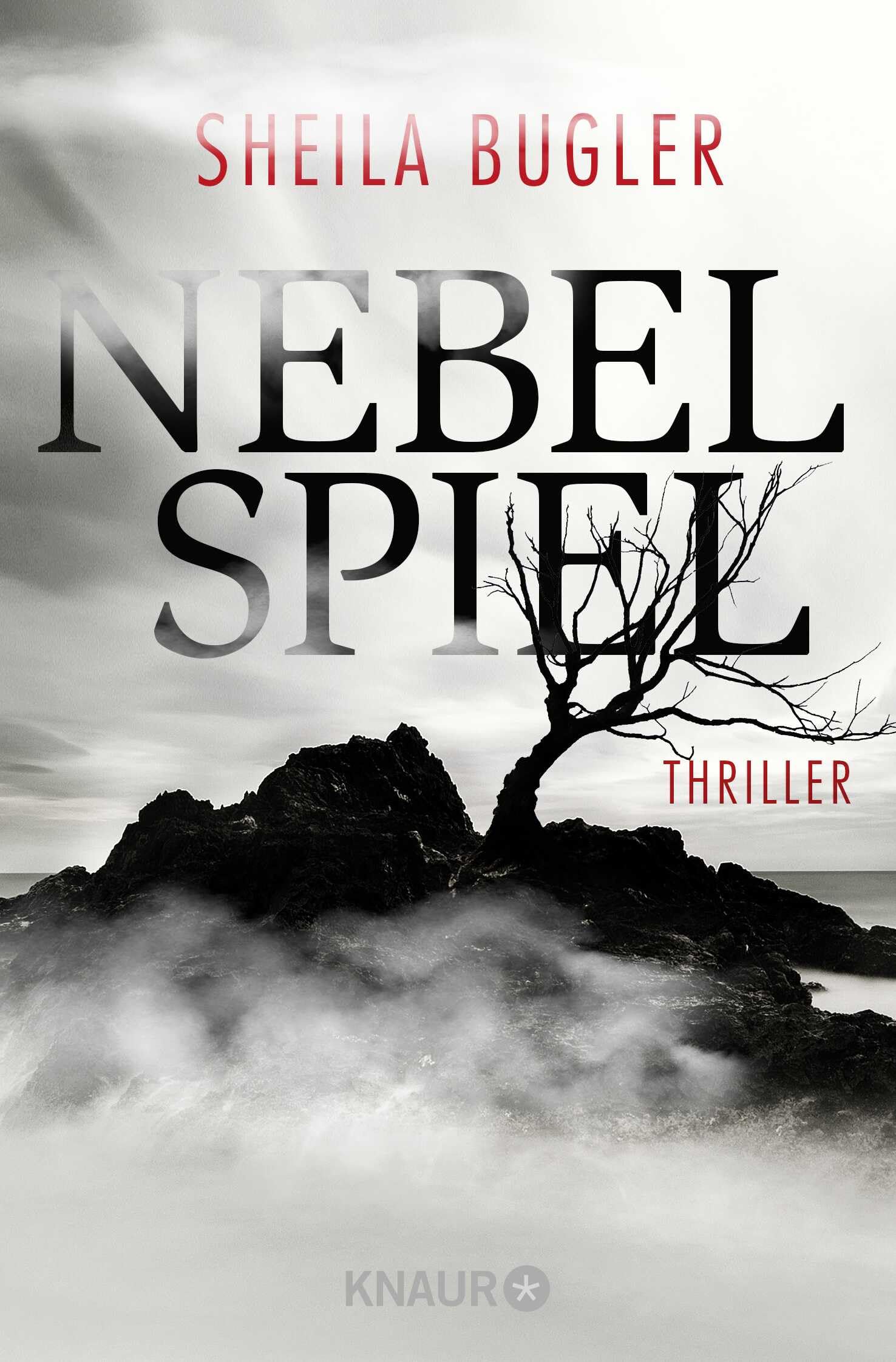 Nebelspiel Contemporary literature Books