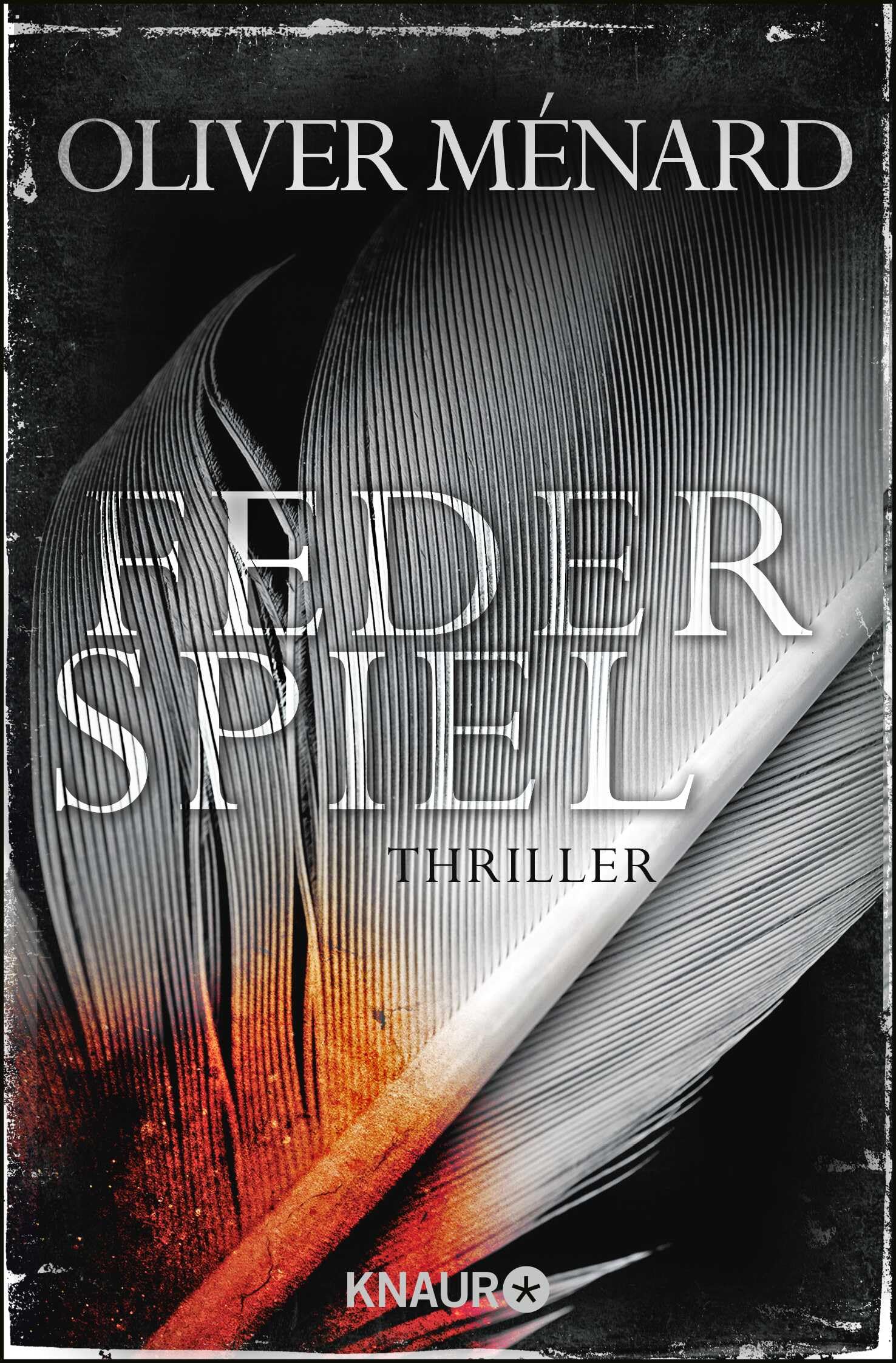 Federspiel: Thriller (Ein Fall für Christine Lenève, Band 1) Contemporary literature