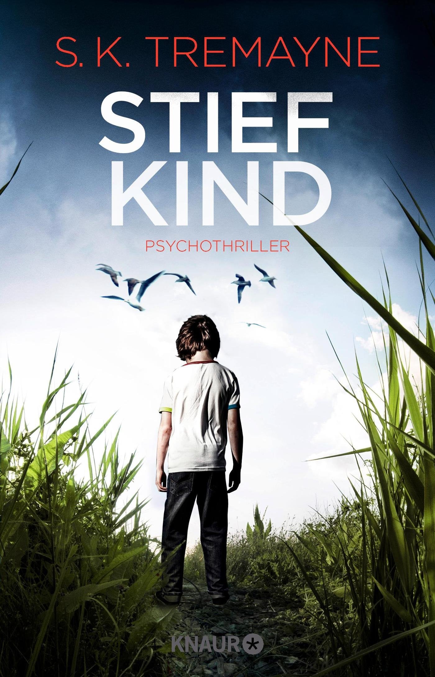 Stiefkind Contemporary literature Books