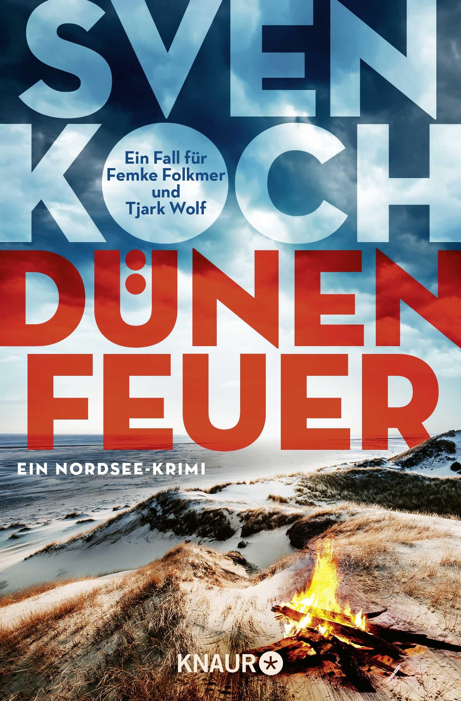Dünenfeuer Contemporary literature Books