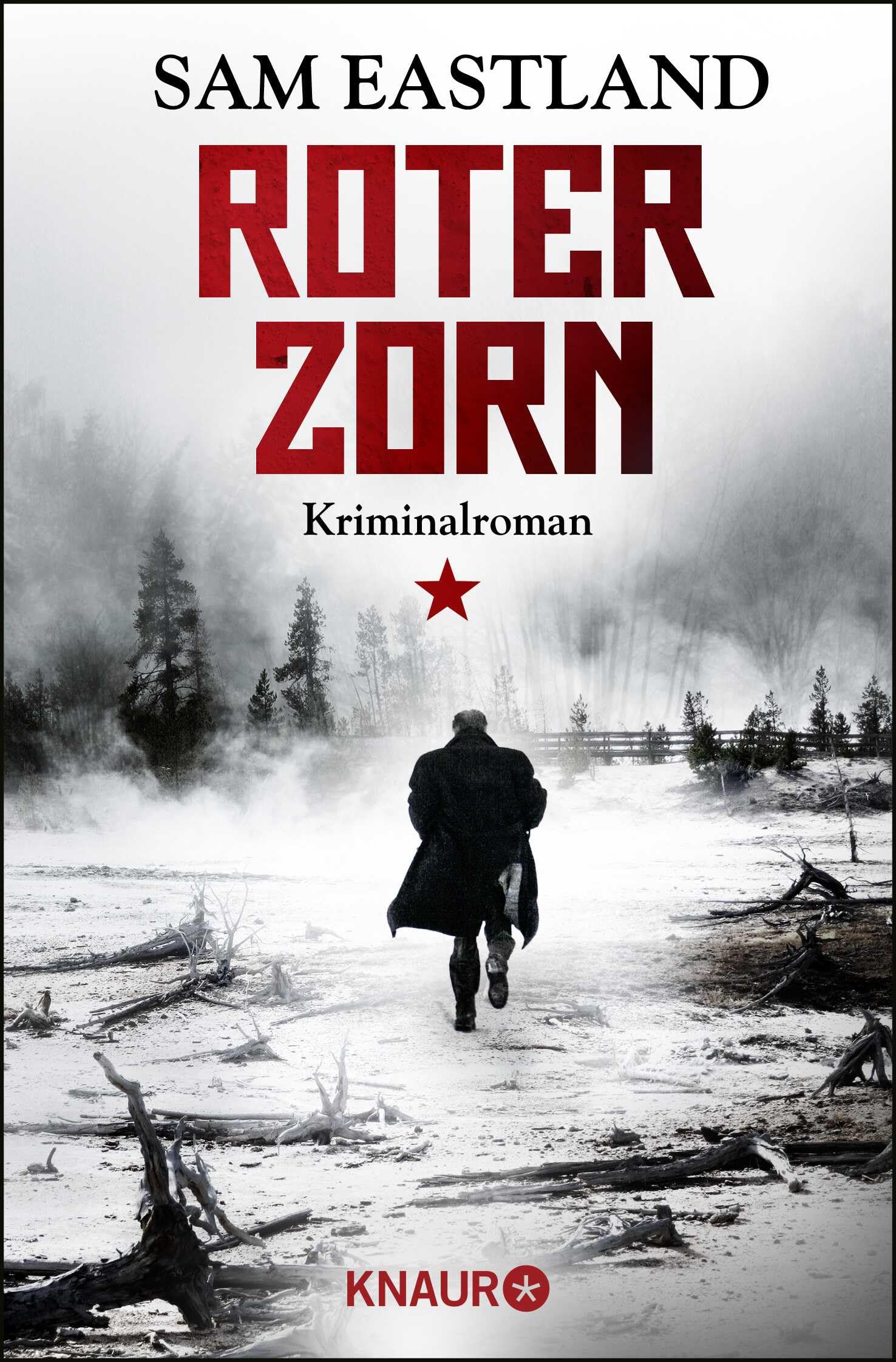 Roter Zorn Contemporary literature Books
