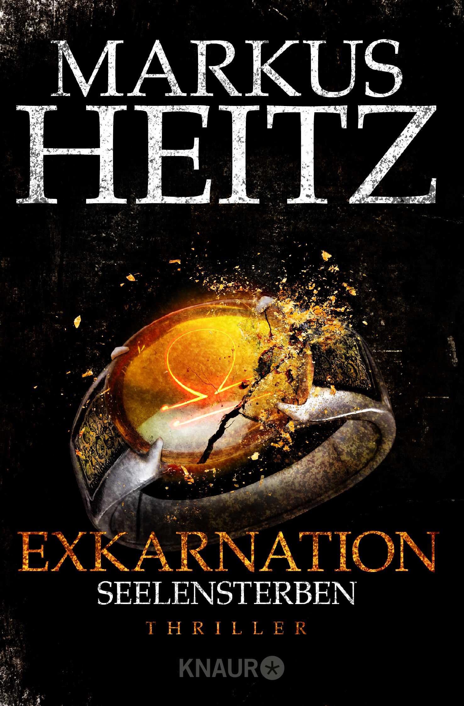 Exkarnation 2 - Seelensterben Contemporary literature Books