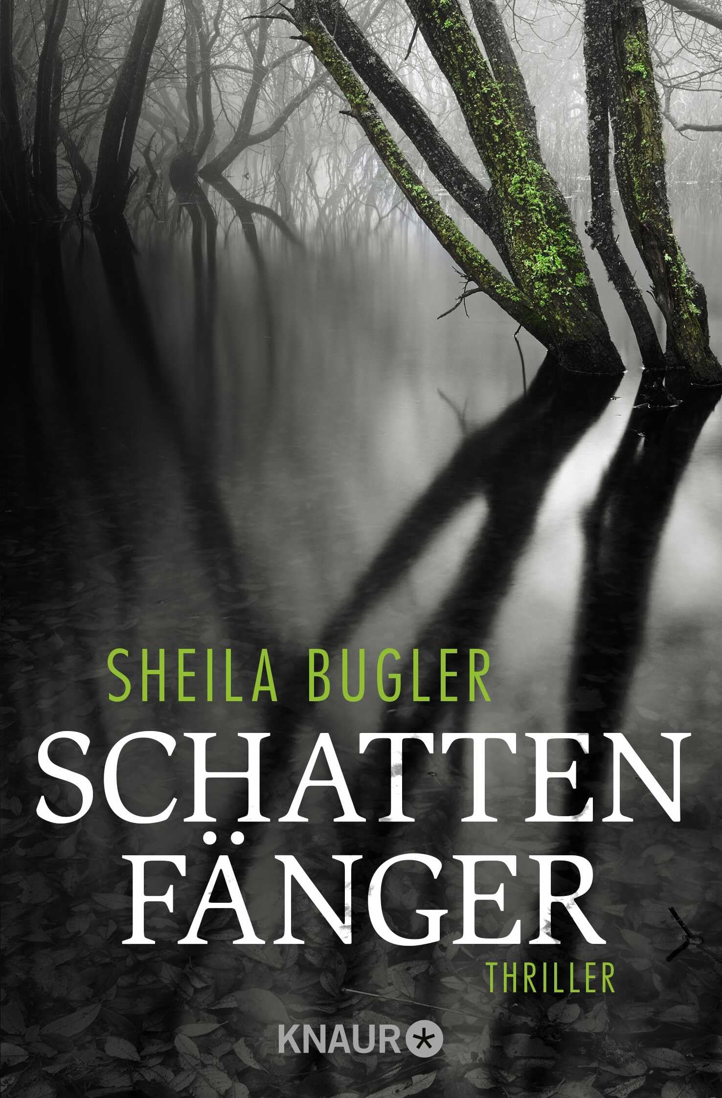 Schattenfänger Contemporary literature Books
