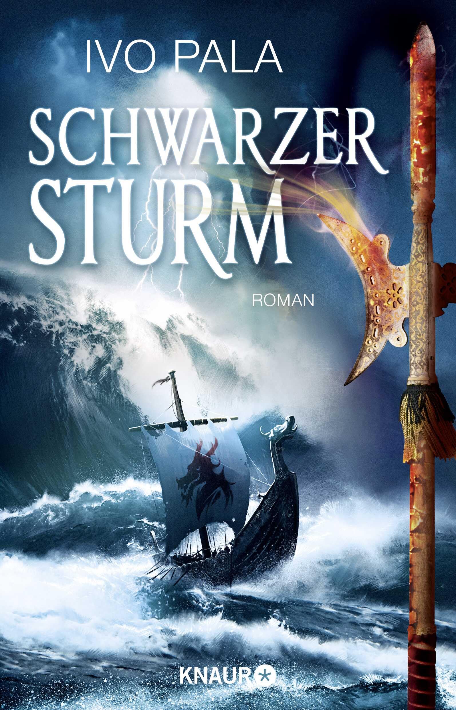 Schwarzer Sturm  - Dark World Saga Band 2 Contemporary literature