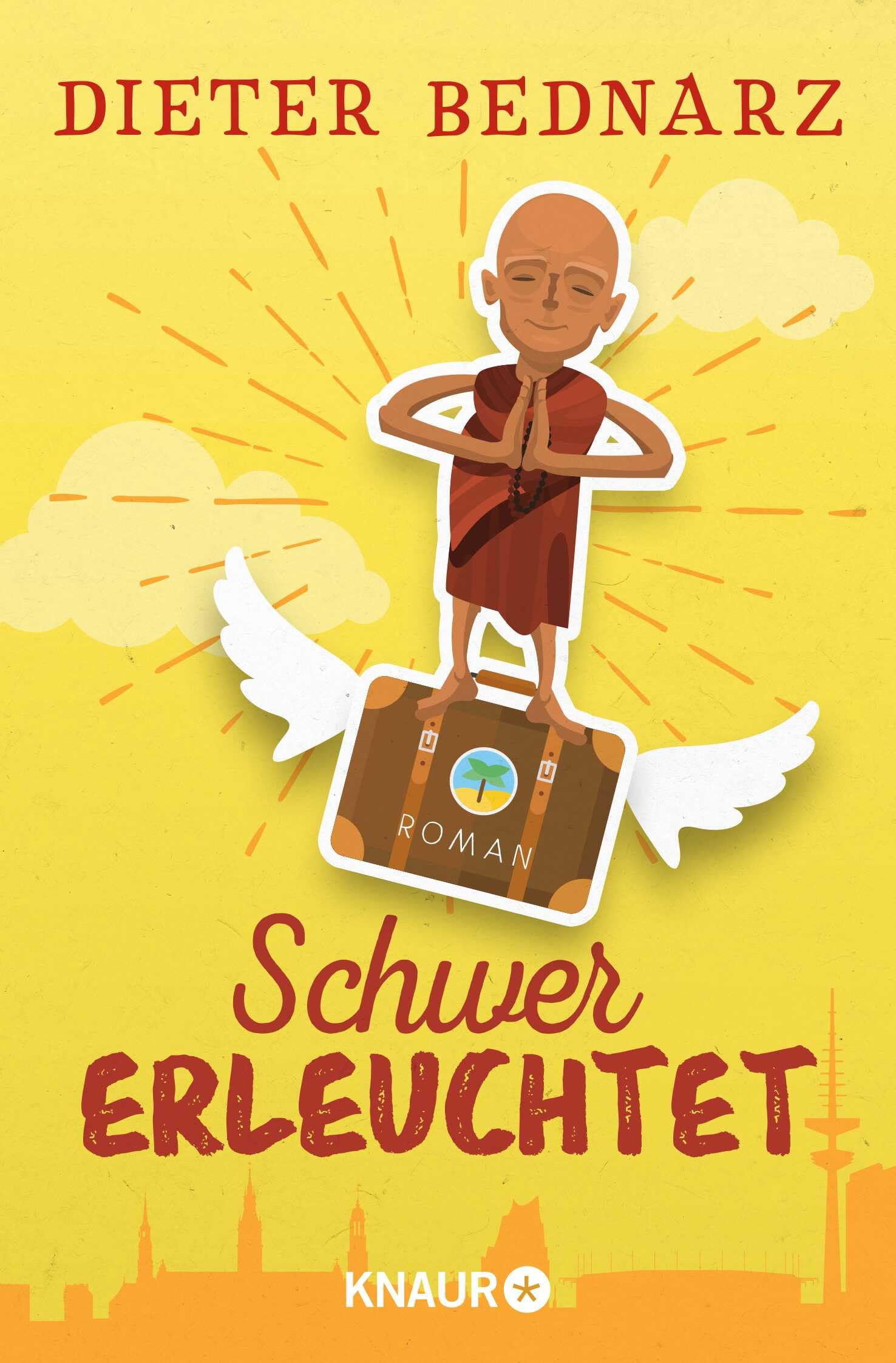 Schwer erleuchtet Contemporary literature Books
