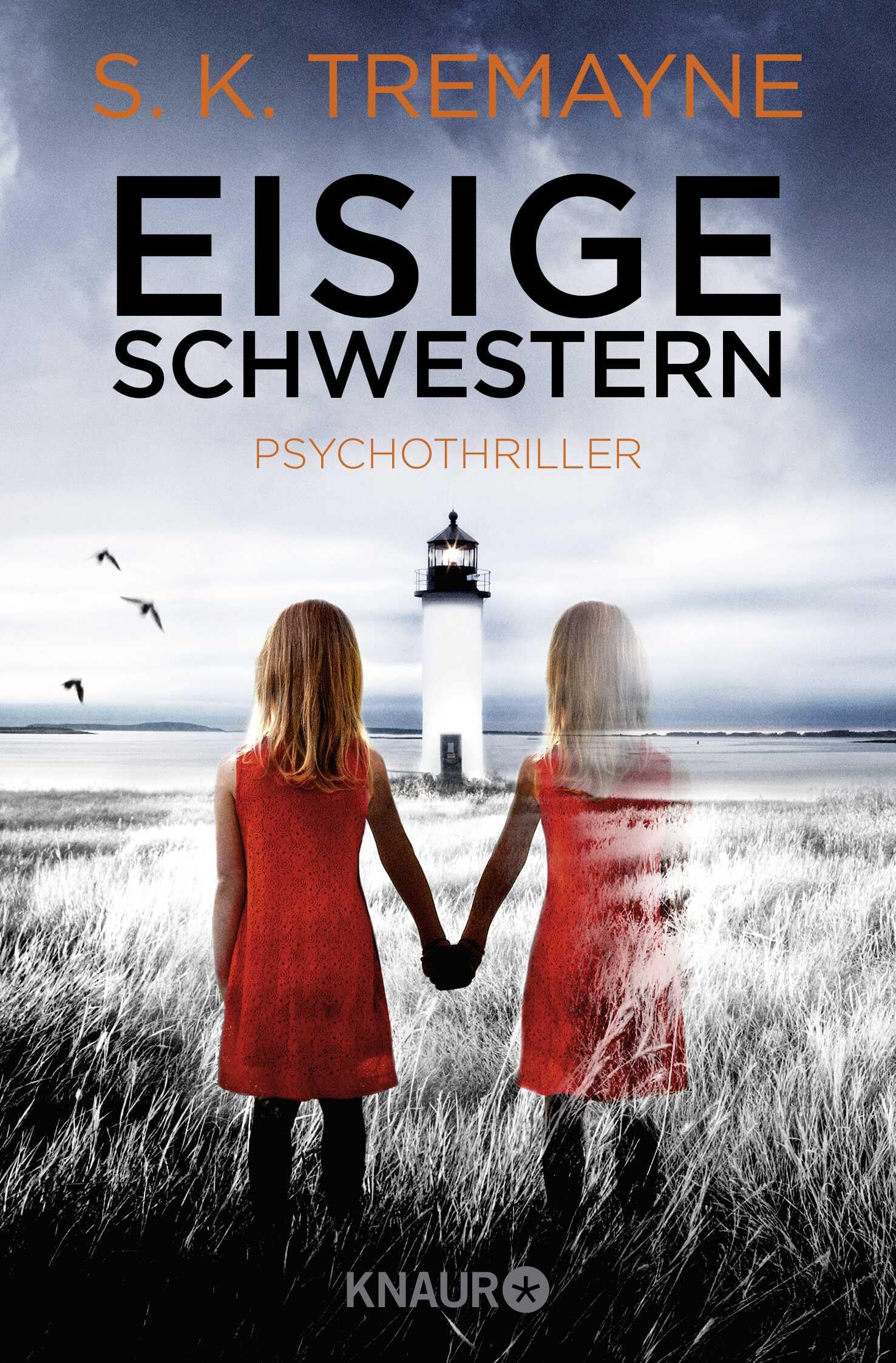 Eisige Schwestern Contemporary literature Books