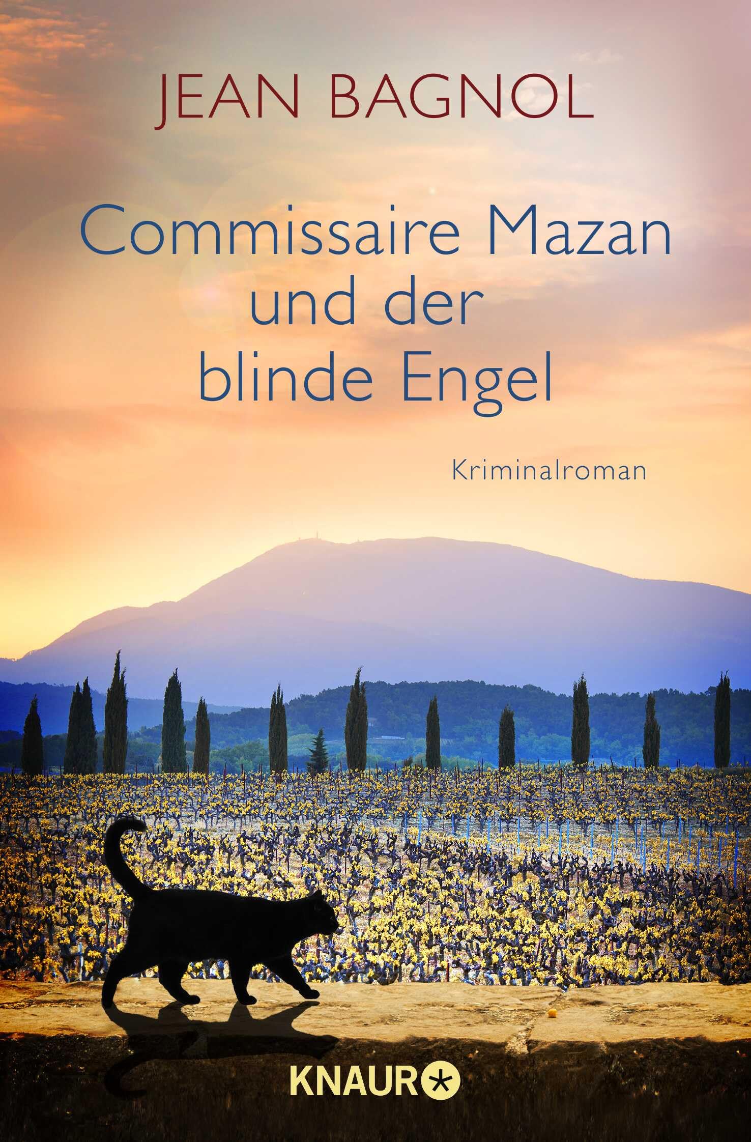 Commissaire Mazan und der blinde Engel Contemporary literature