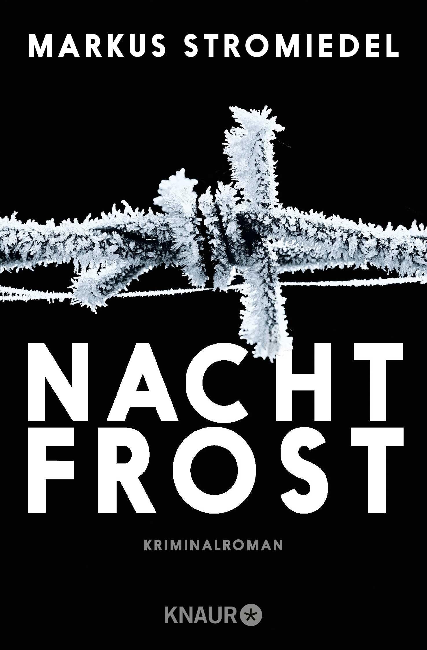 Nachtfrost Contemporary literature Books