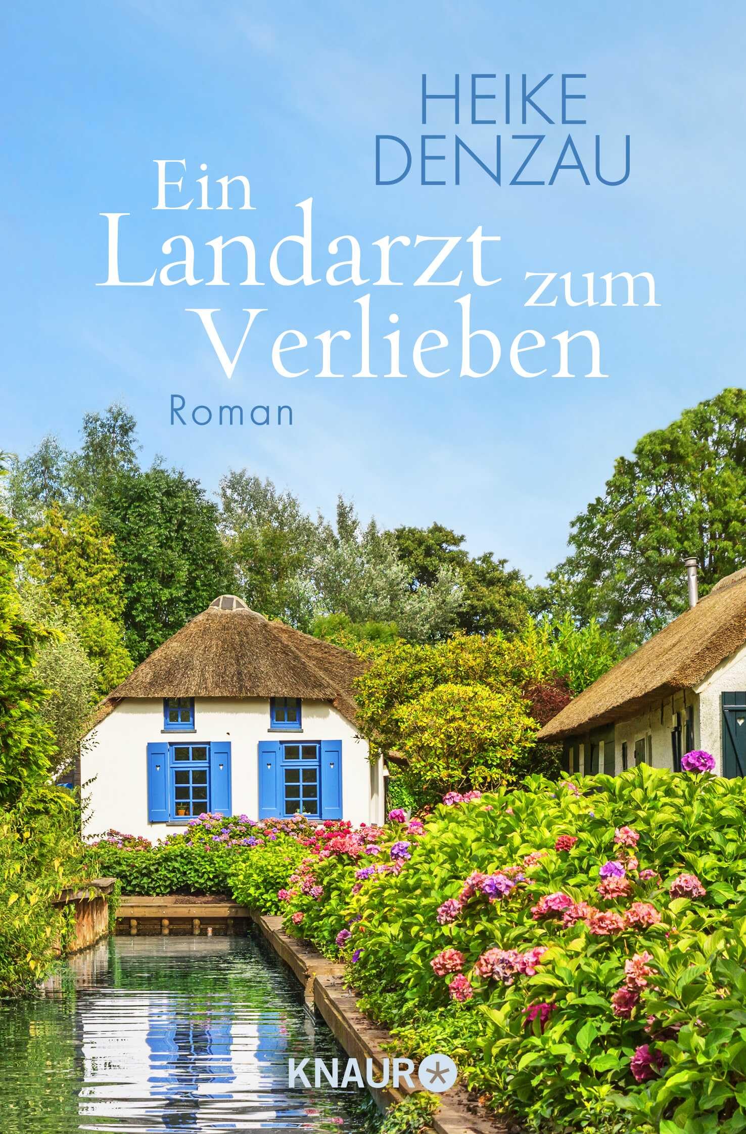 Ein Landarzt zum Verlieben Contemporary literature