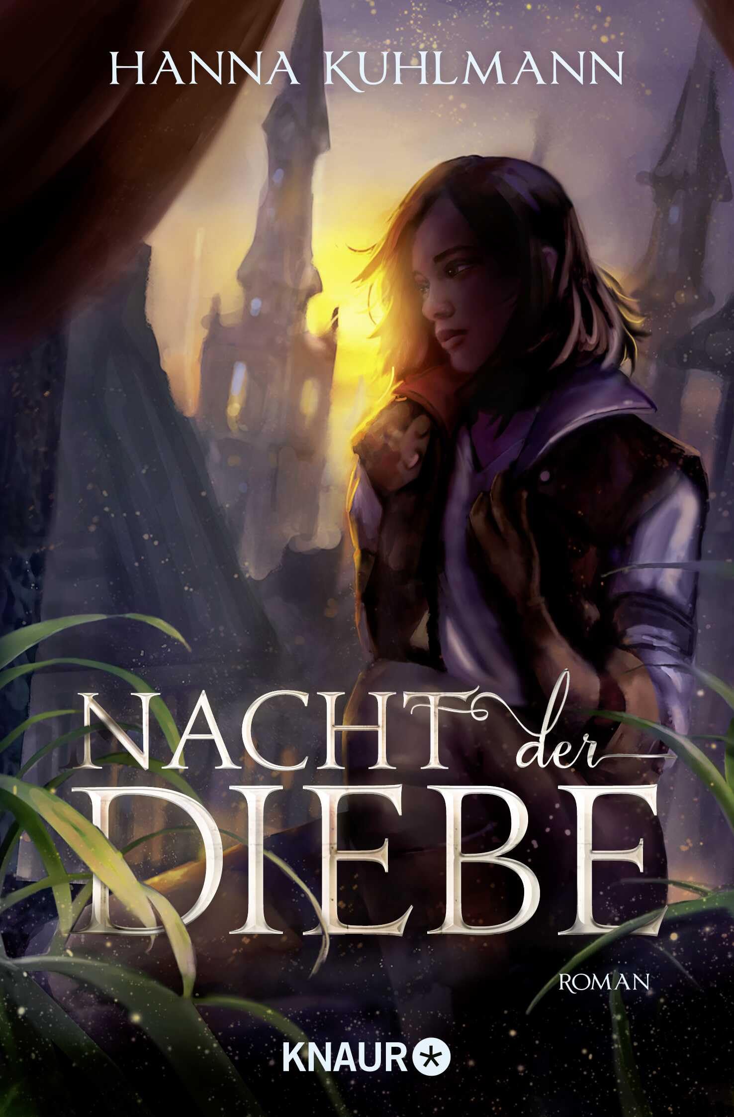 Nacht der Diebe Contemporary literature