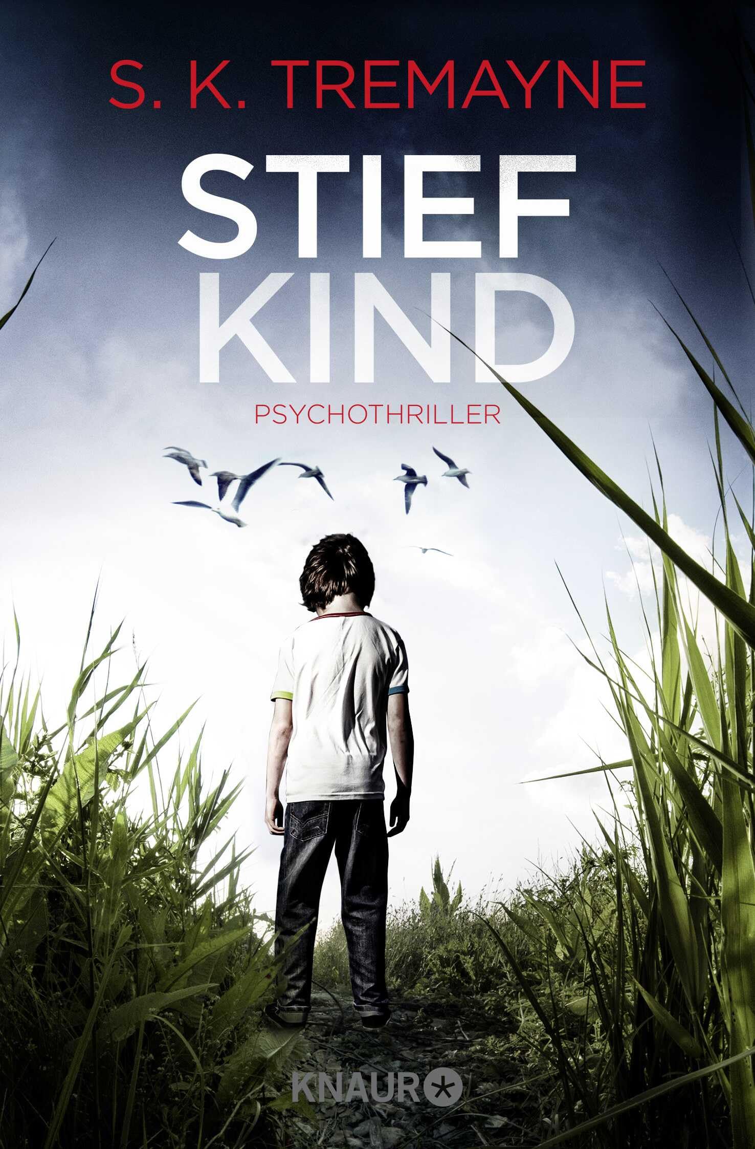 Stiefkind Contemporary literature Books