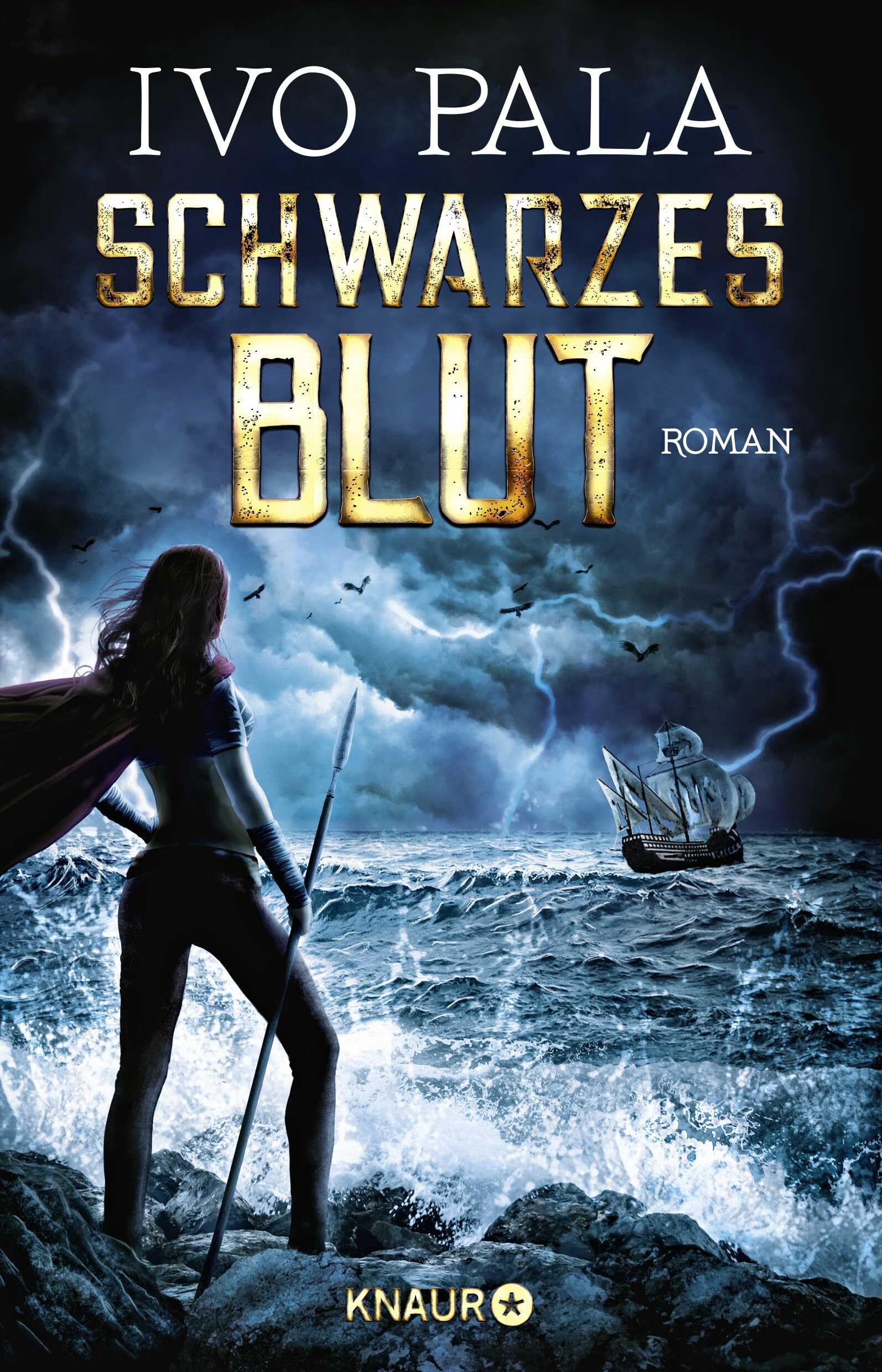 Schwarzes Blut Contemporary literature Books