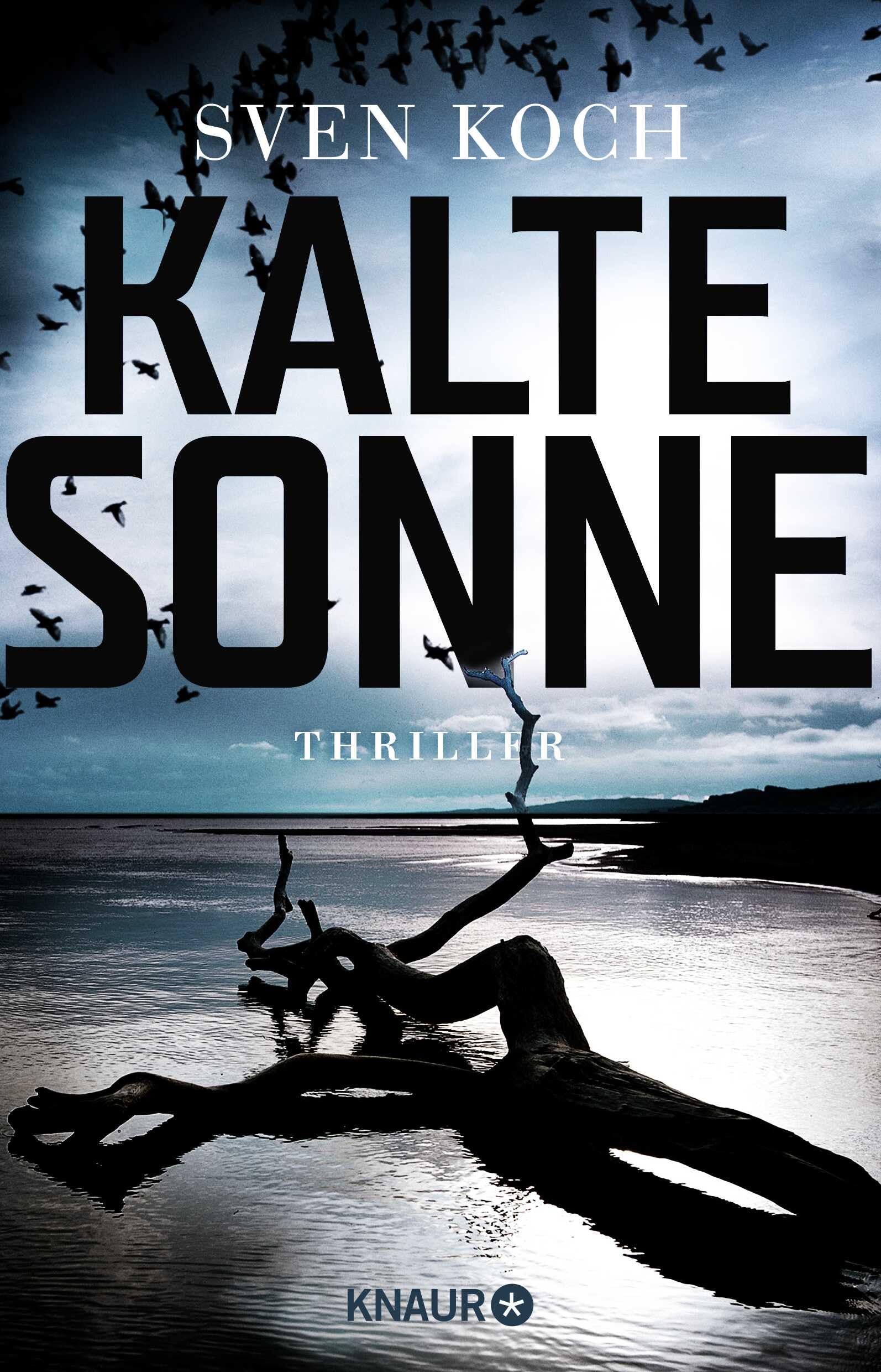 Kalte Sonne Contemporary literature Books