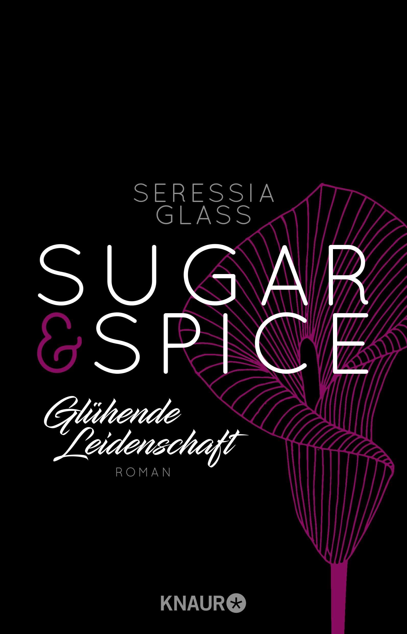 Sugar & Spice - Glühende Leidenschaft Contemporary literature