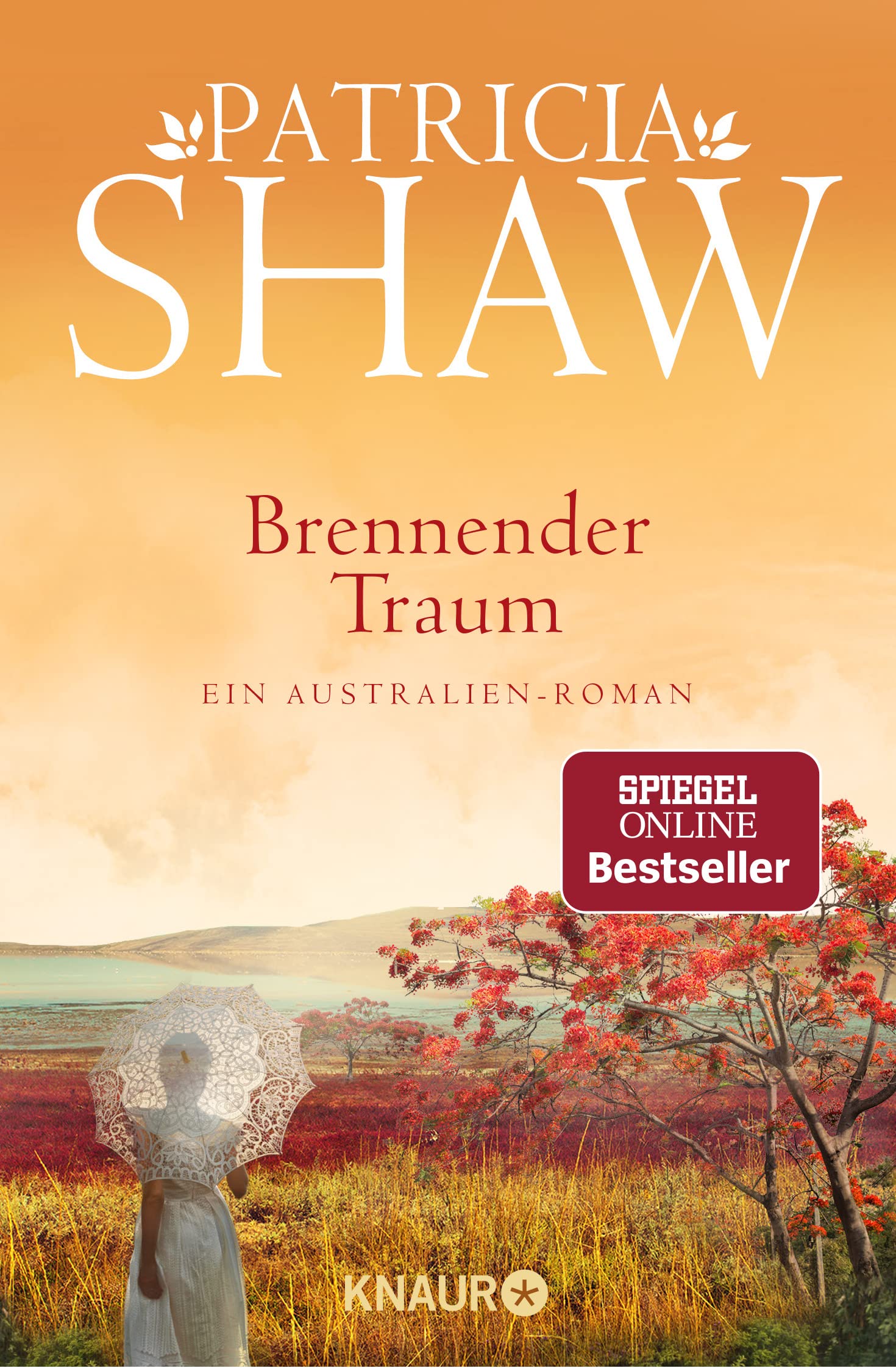 Brennender Traum Contemporary literature Books