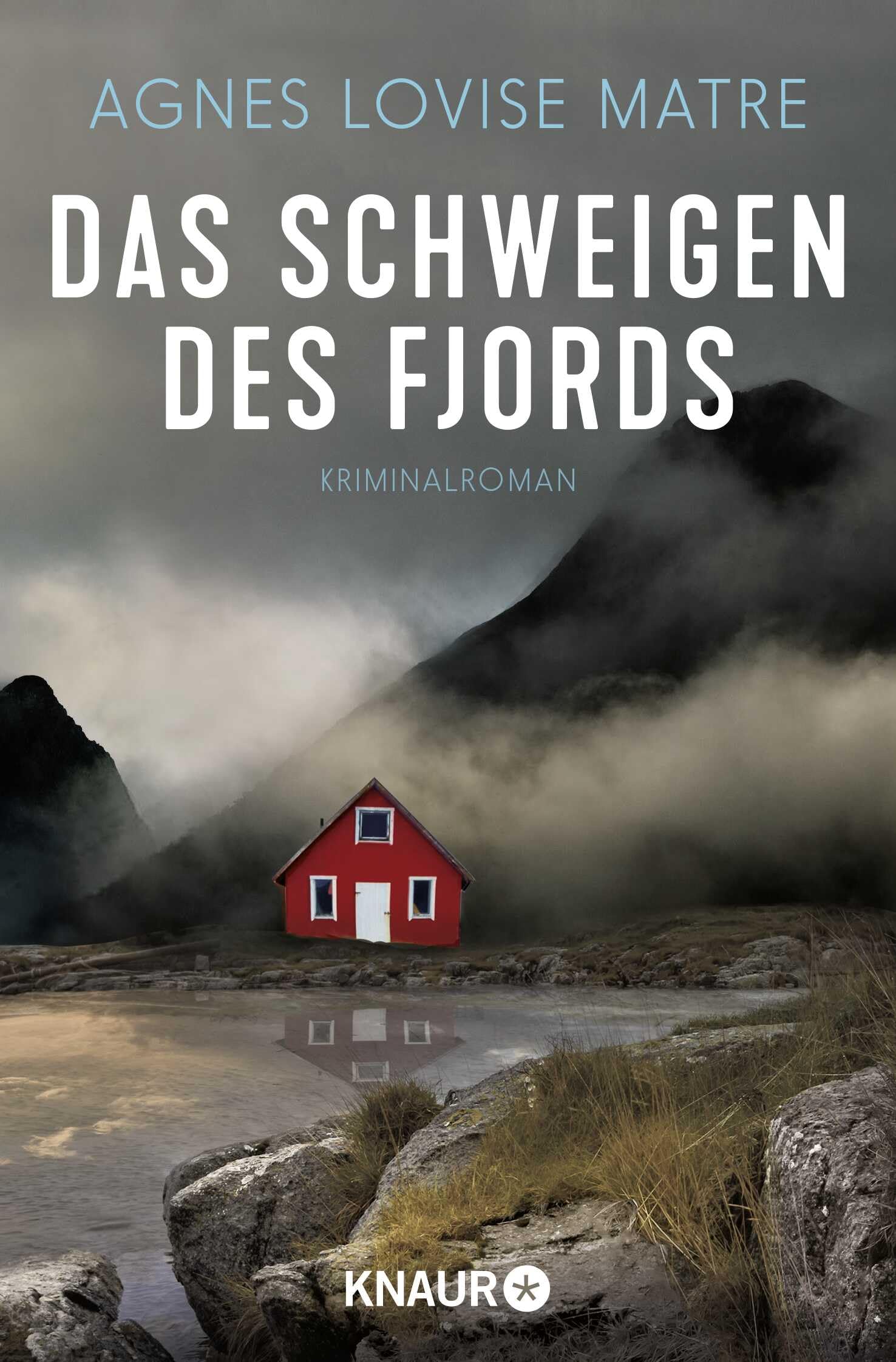 Das Schweigen des Fjords Contemporary literature