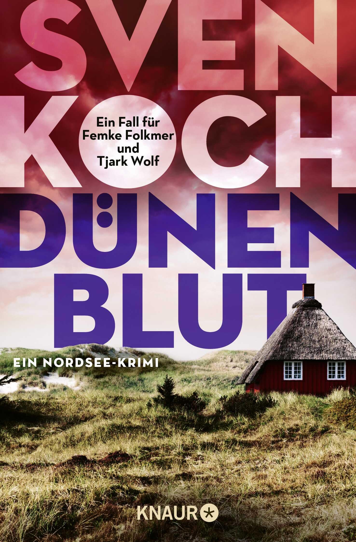 Dünenblut Contemporary literature Books