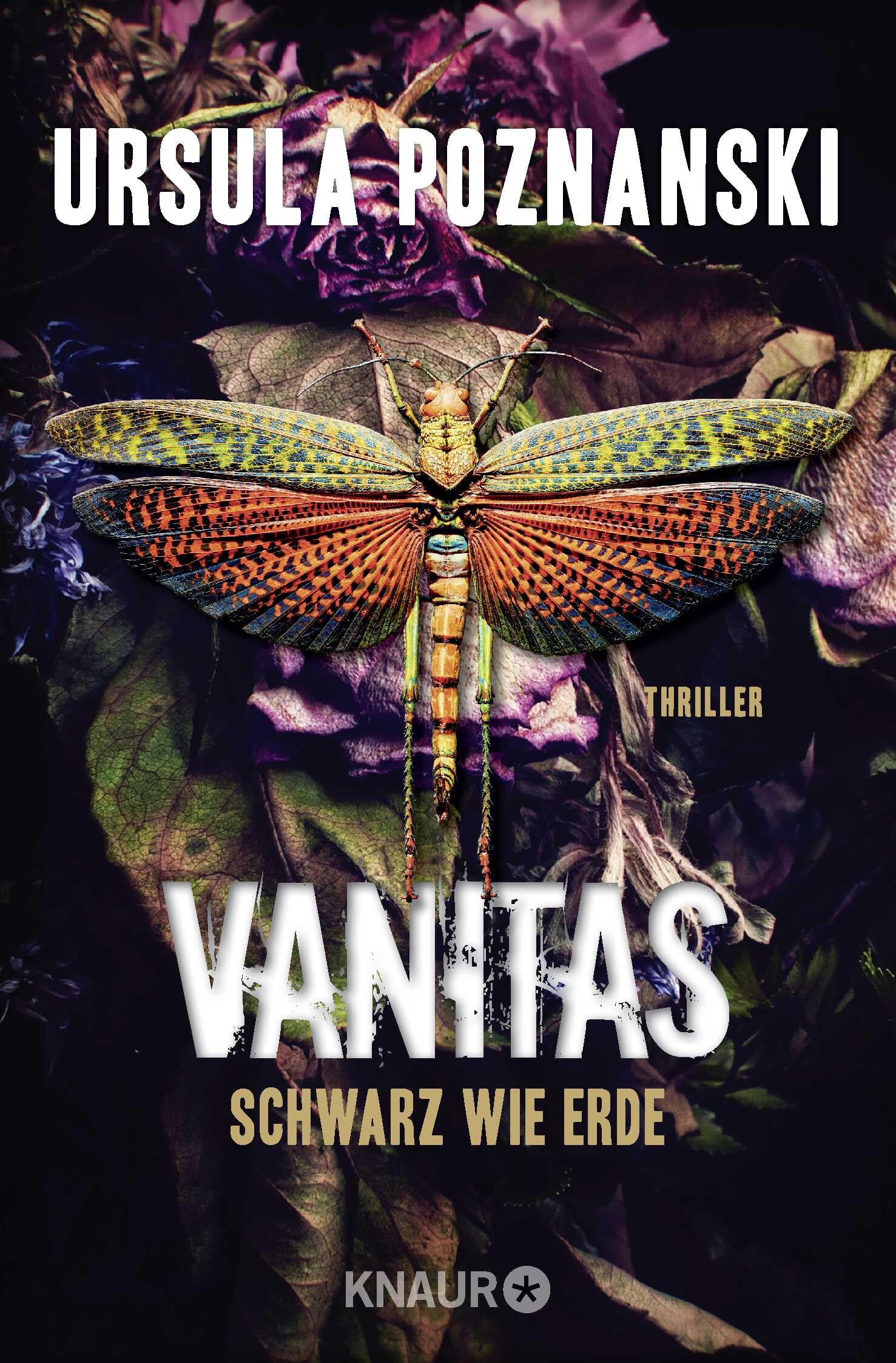 Vanitas - Schwarz wie Erde Contemporary literature