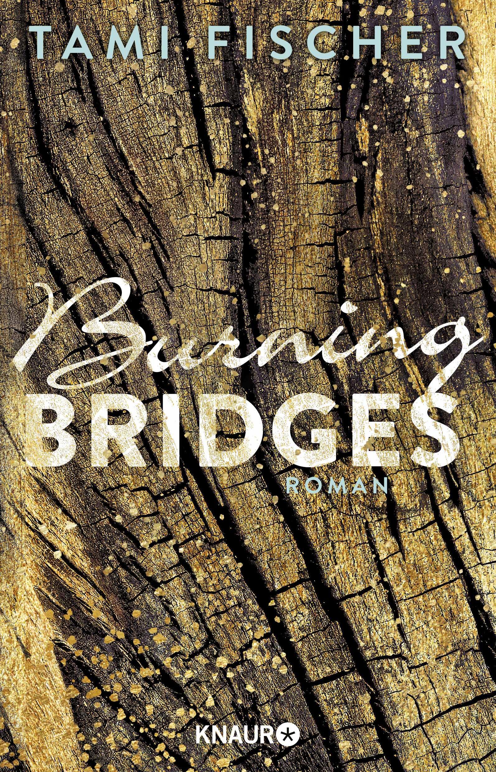 Product Image: Burning Bridges