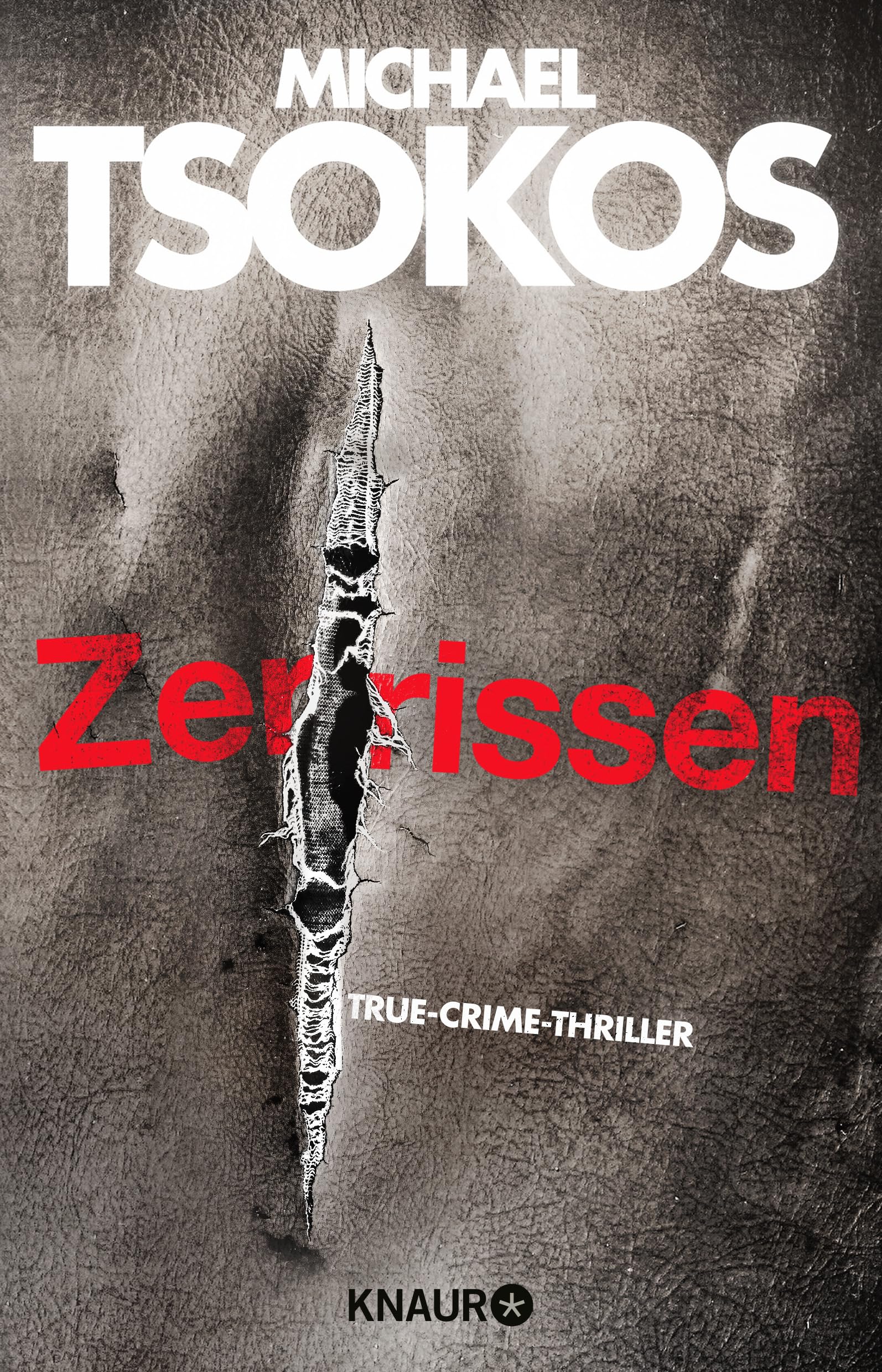 Zerrissen Contemporary literature Books