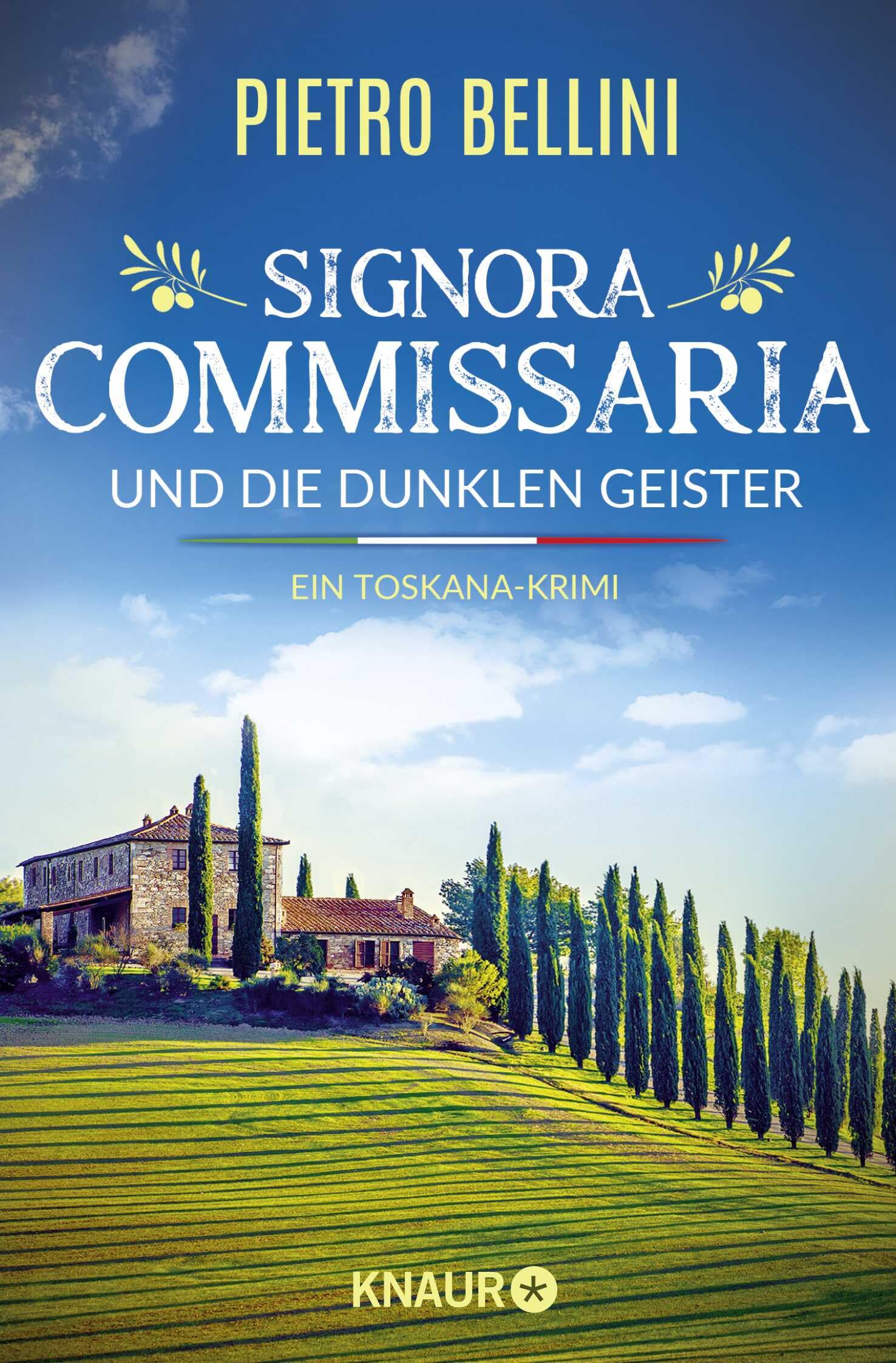 Signora Commissaria und die dunklen Geister Contemporary literature