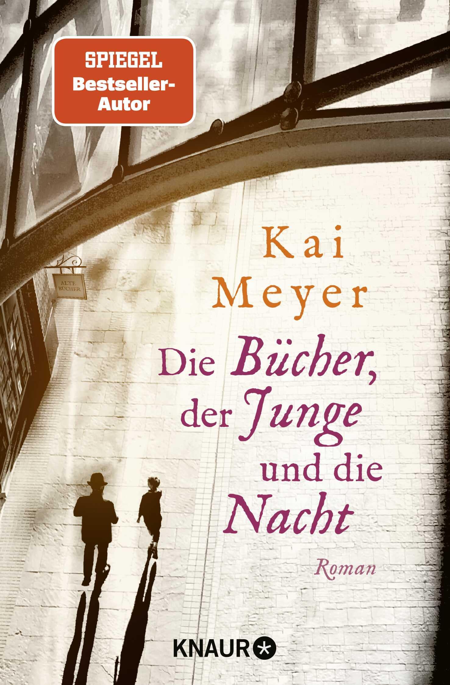 Die Bücher, der Junge und die Nacht Contemporary literature