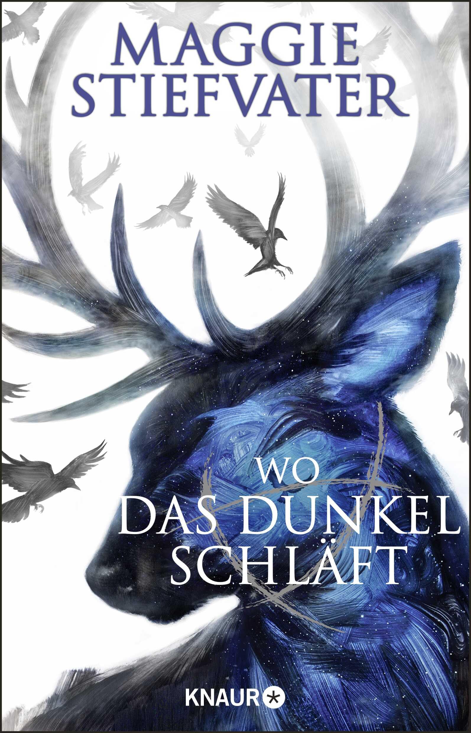 Product Image: Wo das Dunkel schläft